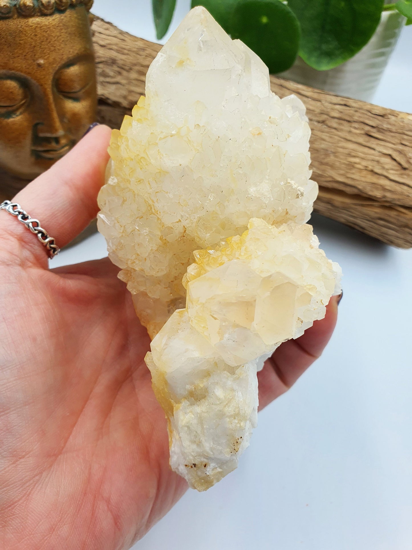 Clear Quartz Pineapple Cluster