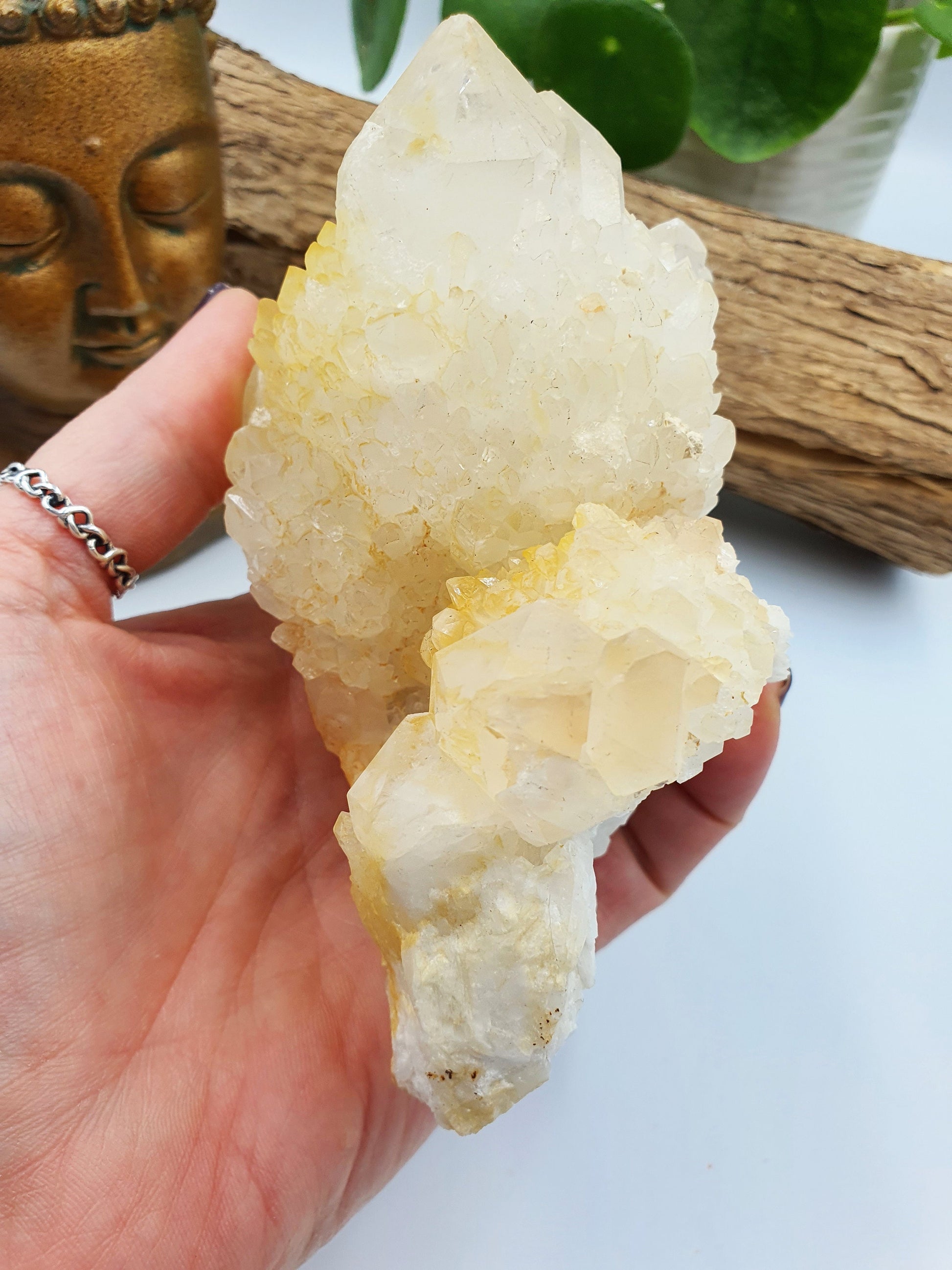 Clear Quartz Pineapple Cluster