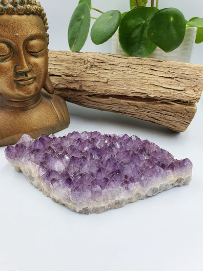 Light Amethyst Teeth Slab Cluster