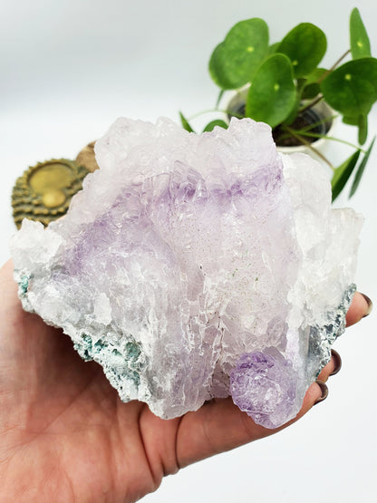 Phantom Quartz Natural Crystal Cluster