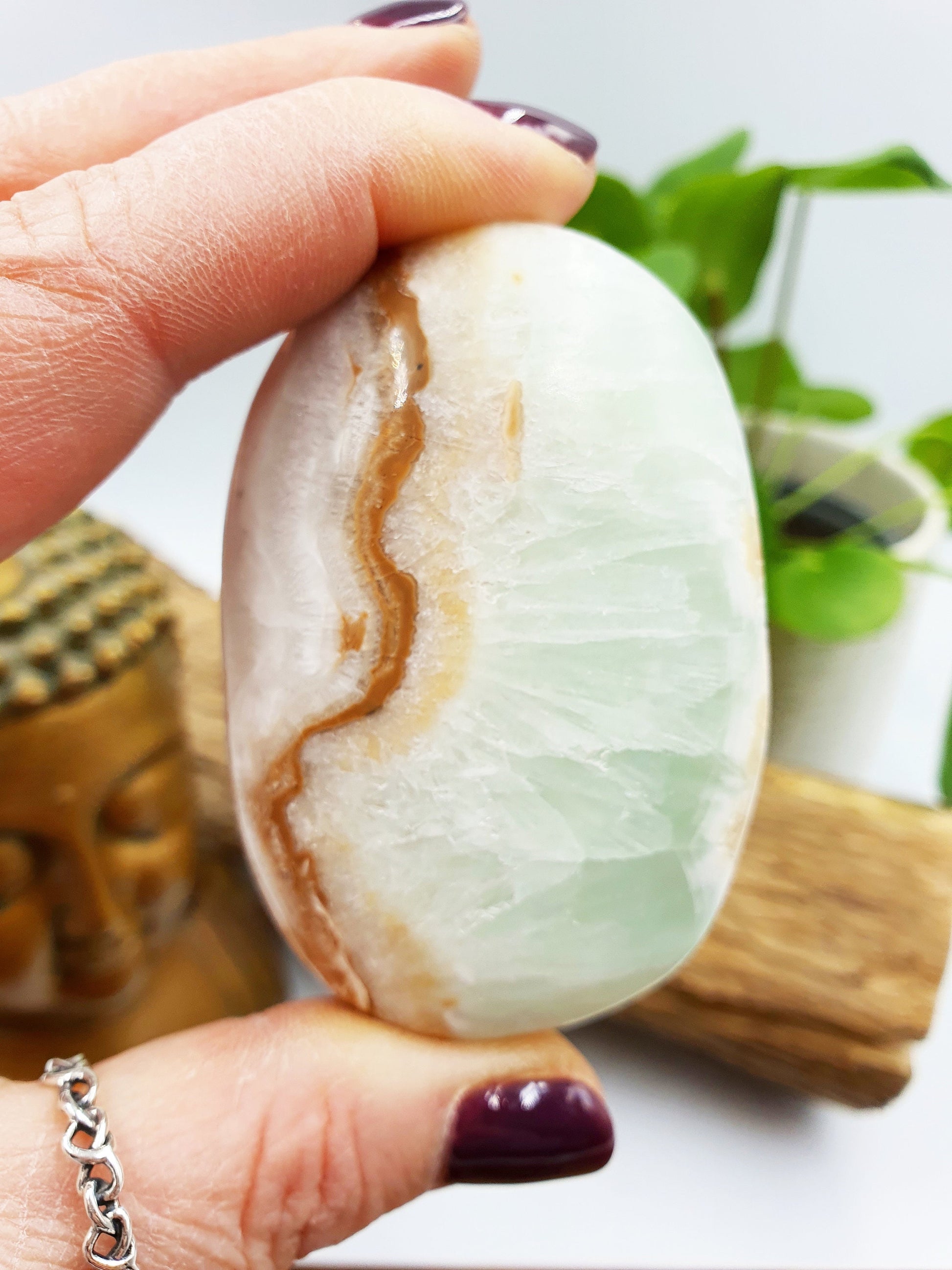 Caribbean Calcite Crystal Palm