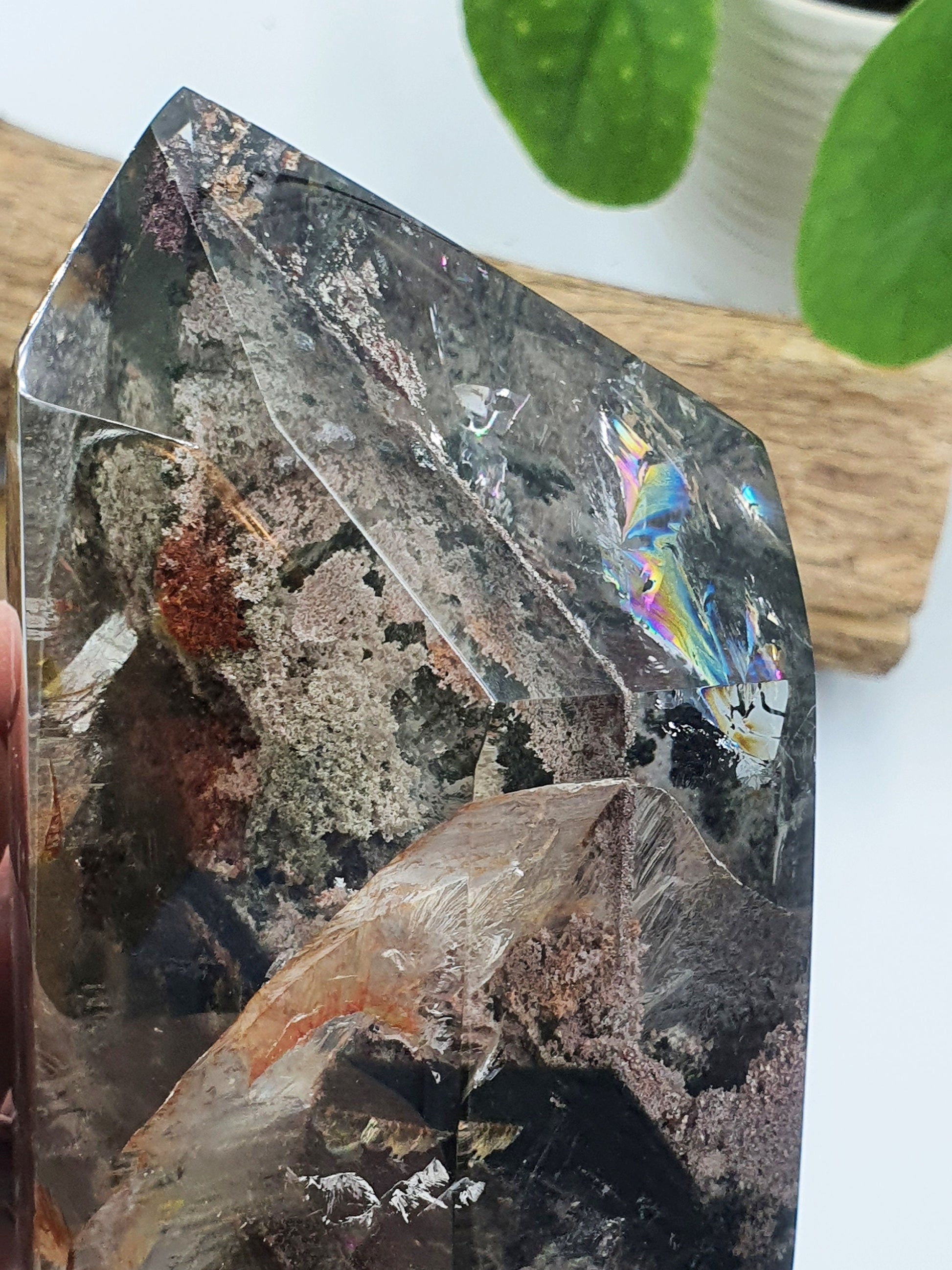 Large Garden Quartz (Lodolite) Freeform with strong rainbows