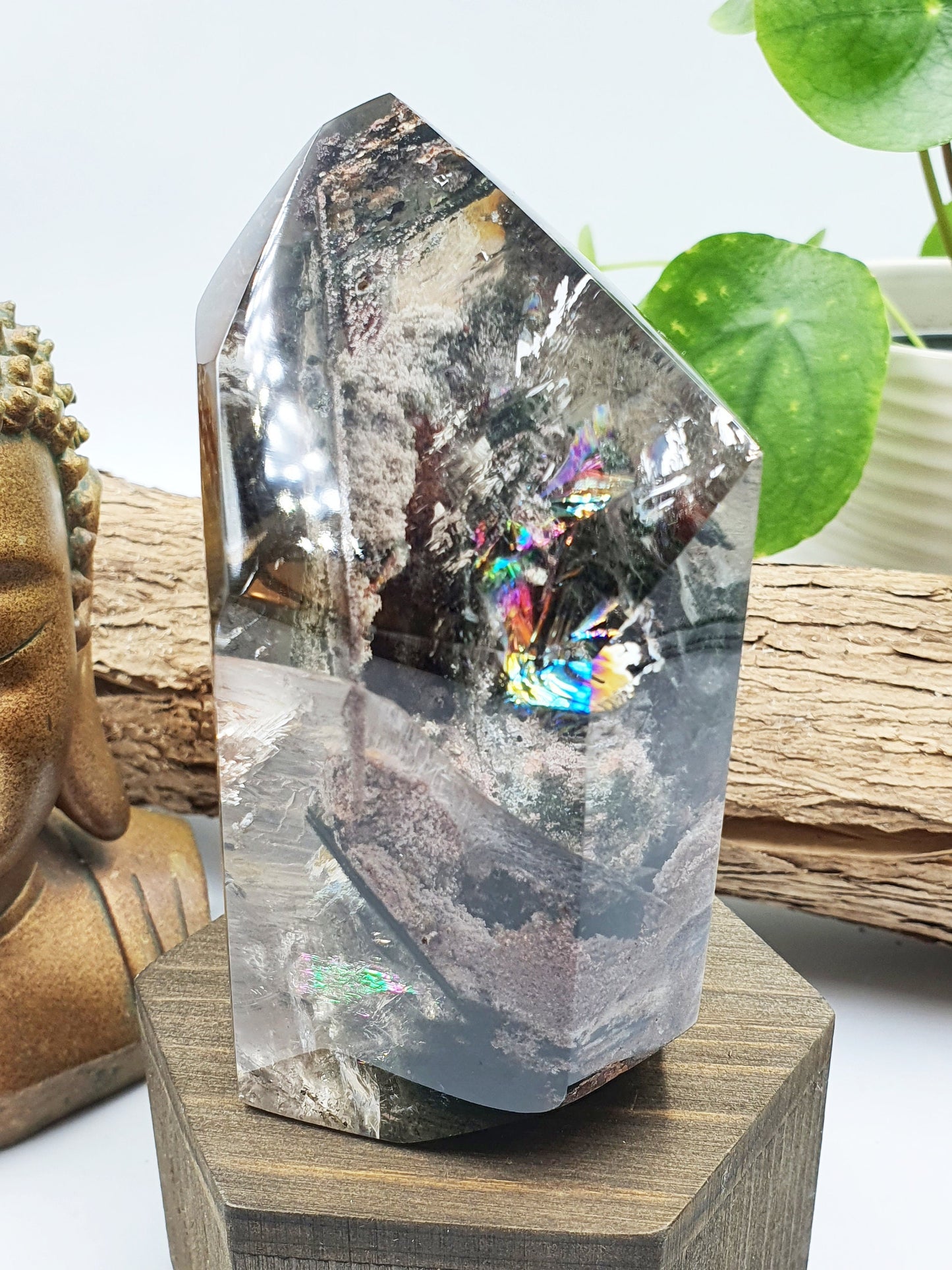 Large Garden Quartz (Lodolite) Freeform with strong rainbows