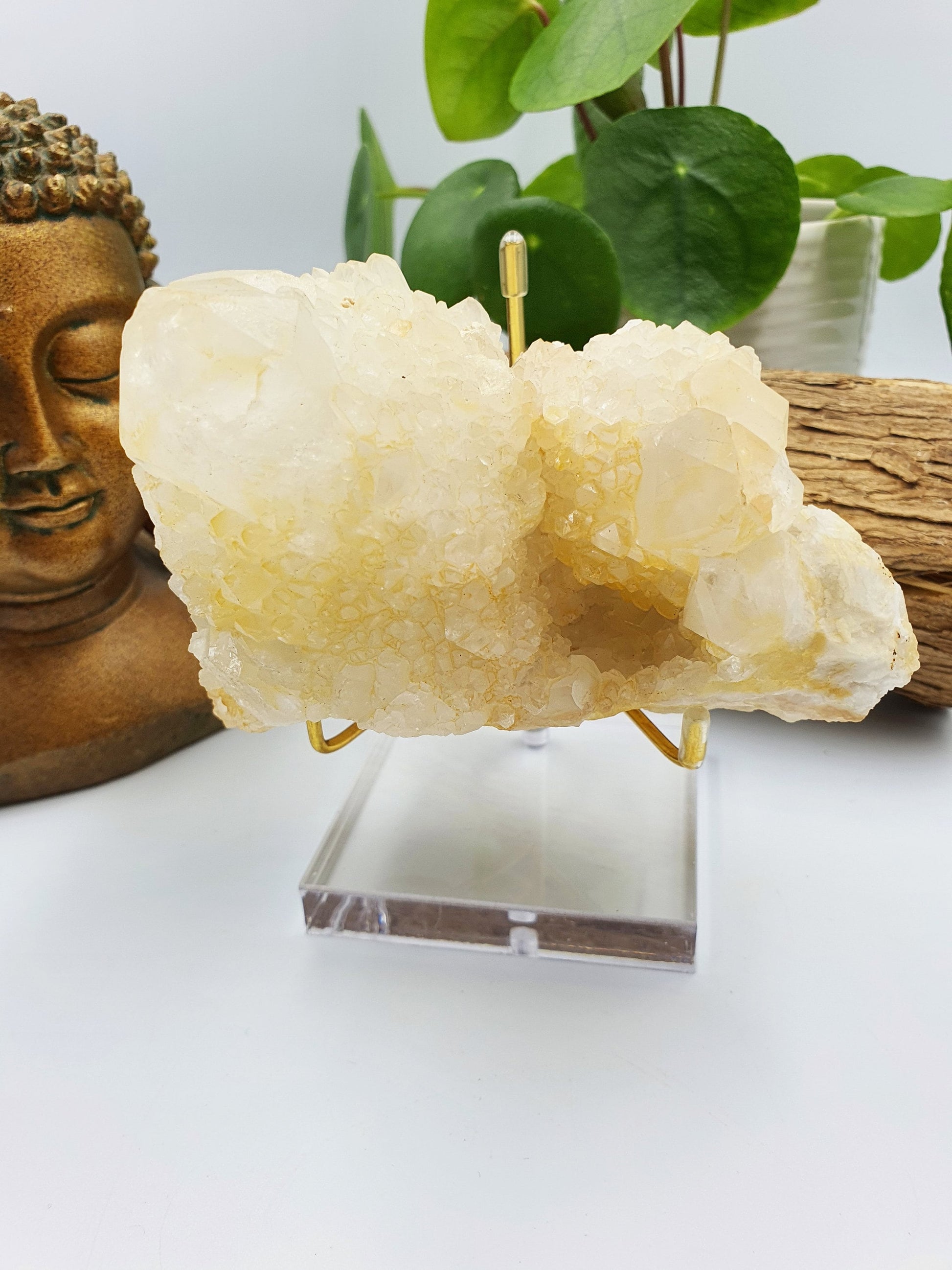 Clear Quartz Pineapple Cluster