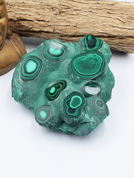 Large Raw & Polished Malachite Crystal Specimen - 1385g