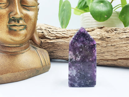 Flashy Purple Mica Point