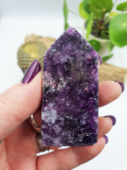Flashy Purple Mica Point