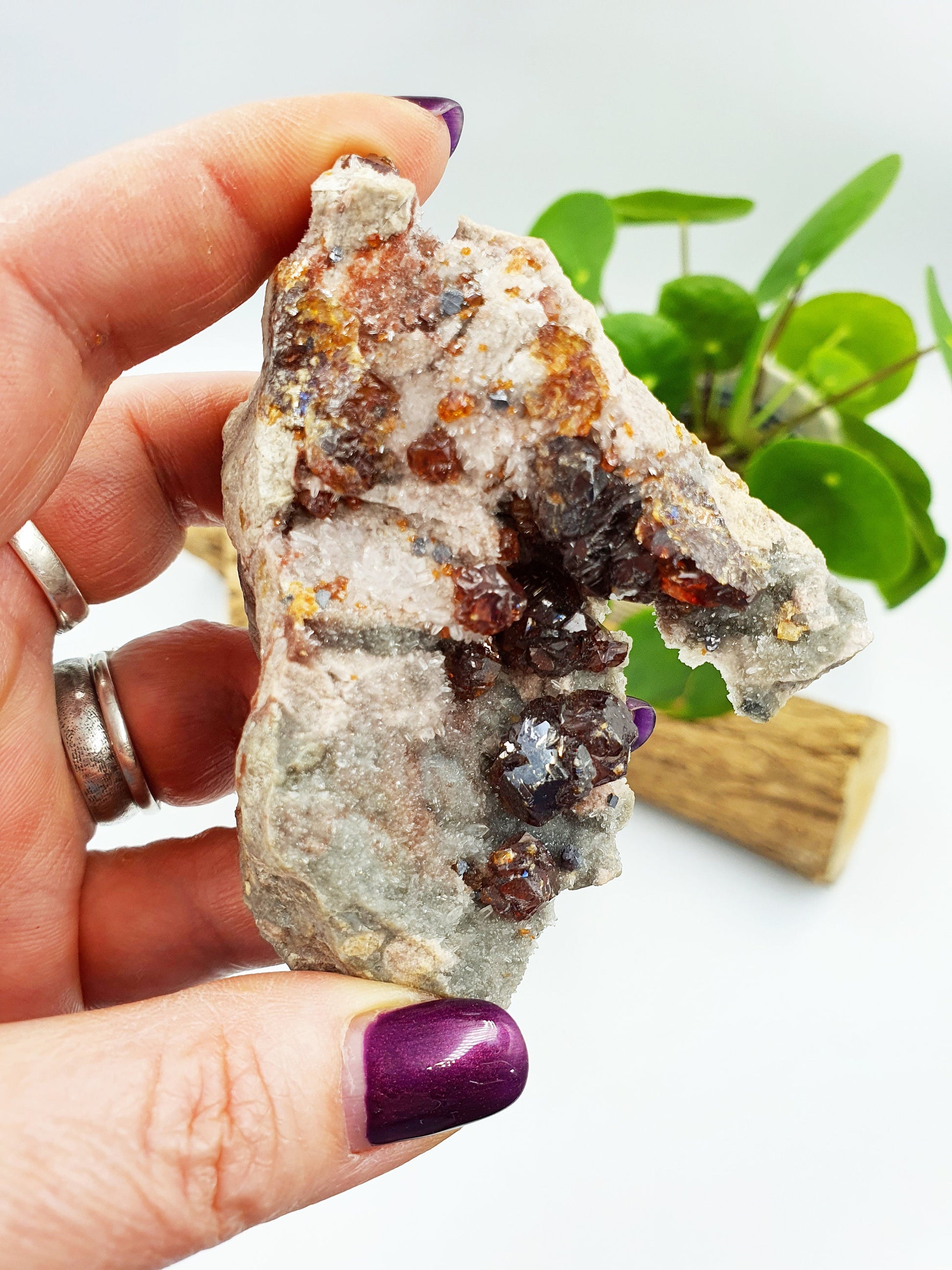 Garnet and Sphalerite Specimen