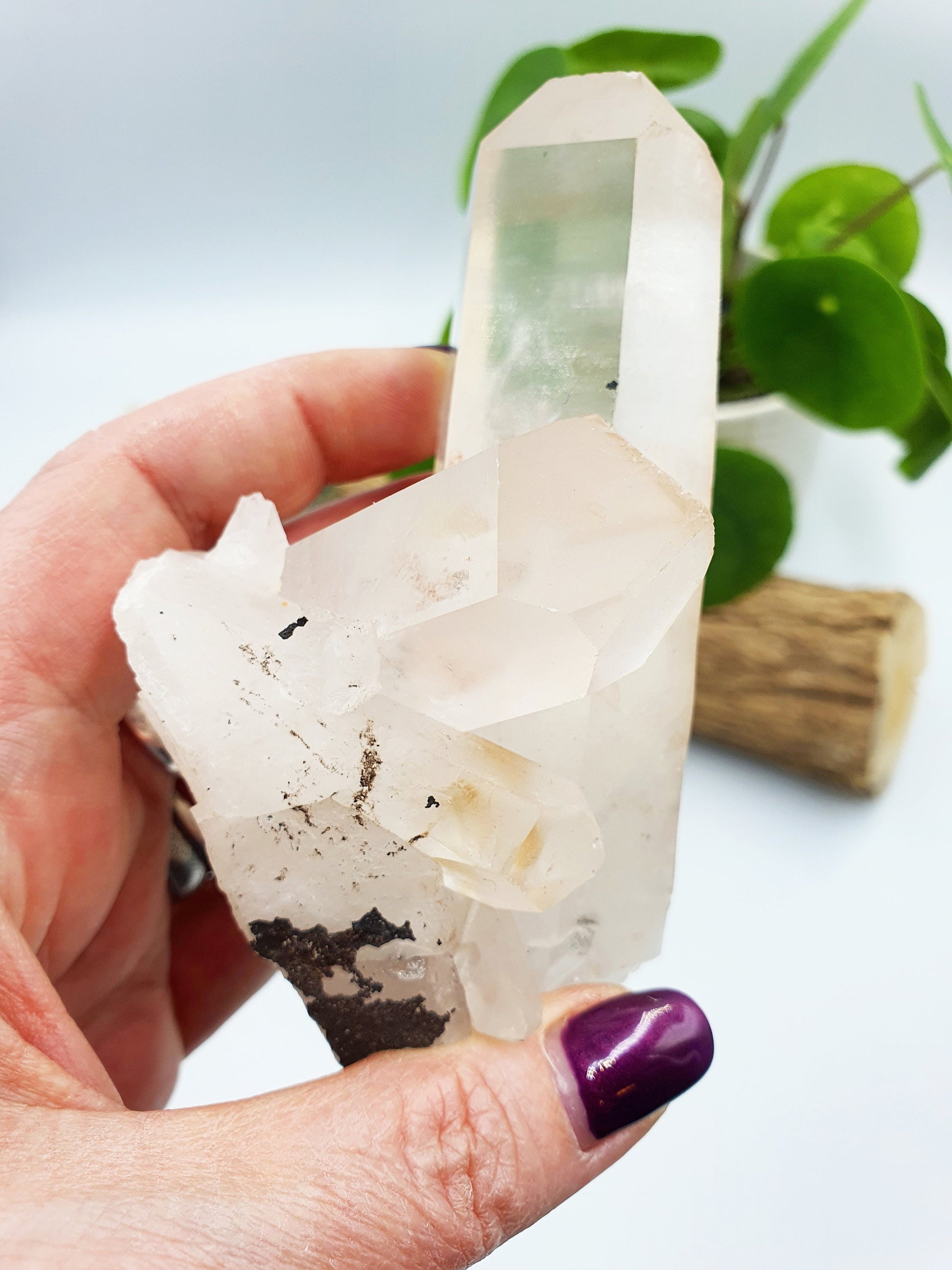 Clear Quartz Cluster