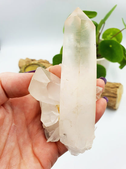 Clear Quartz Cluster