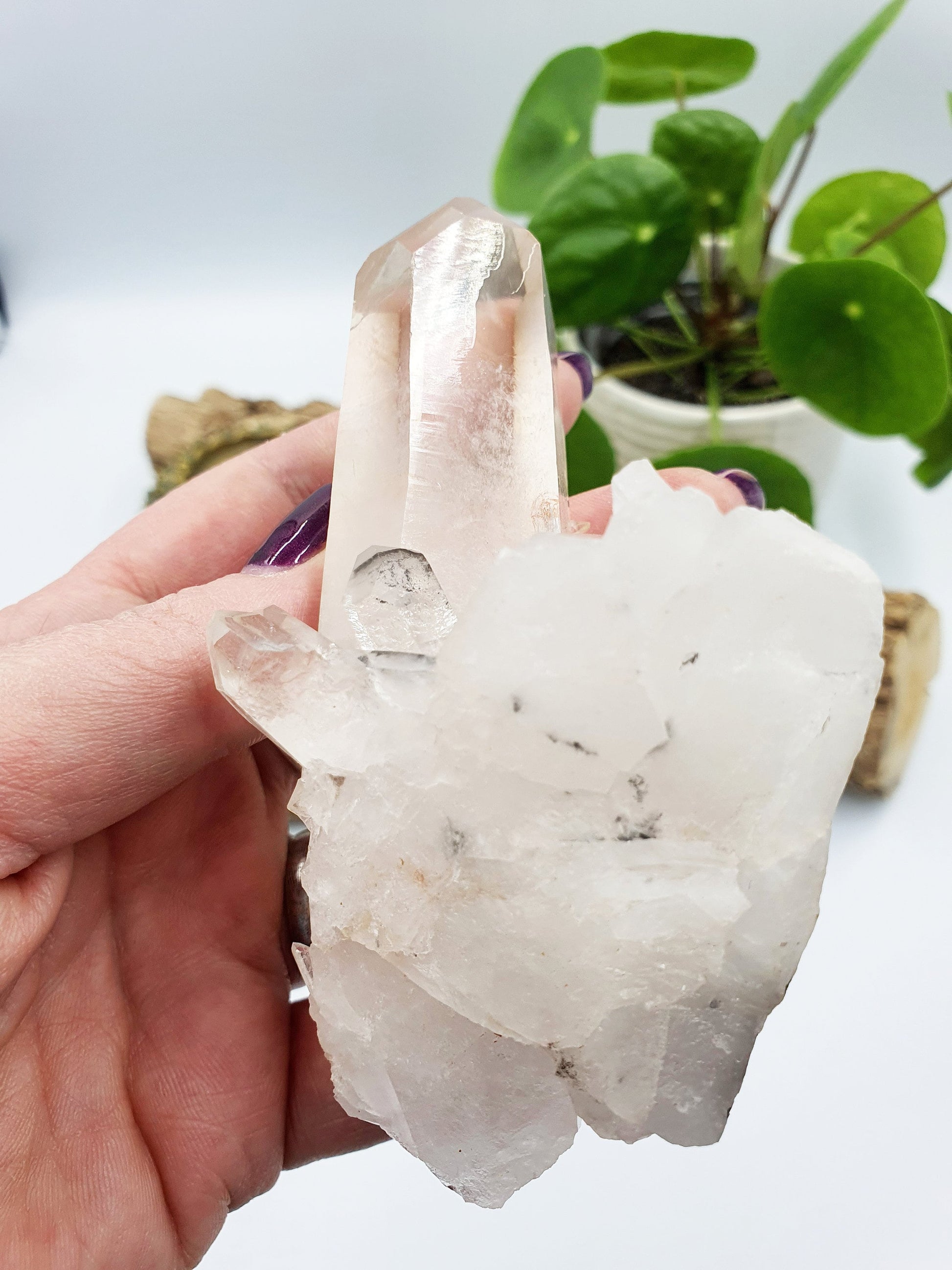 Clear Quartz Cluster