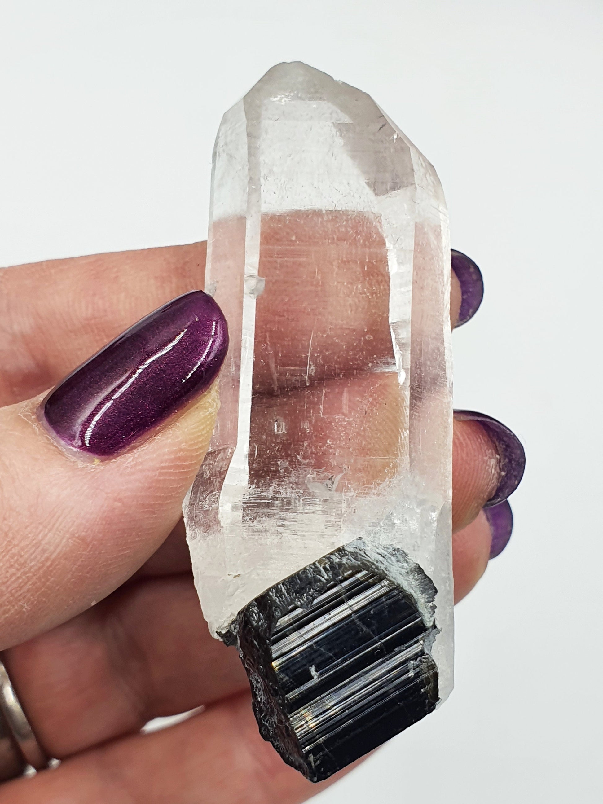 Clear Himalayan Quartz with Tourmaline Specimen