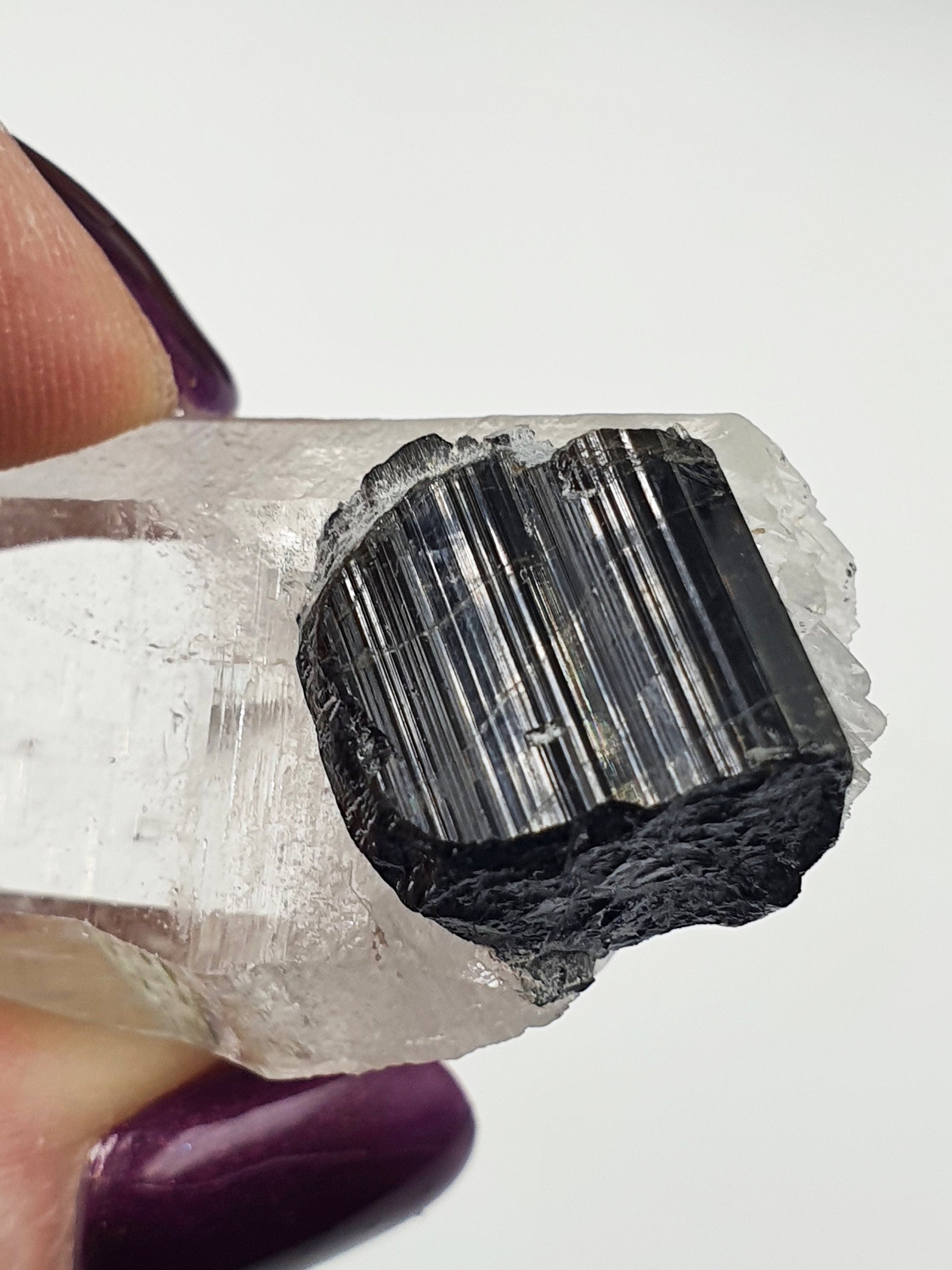 Clear Himalayan Quartz with Tourmaline Specimen