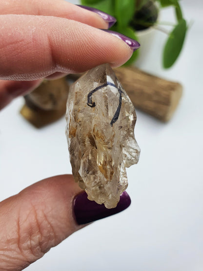 Elestial Enhydro Quartz