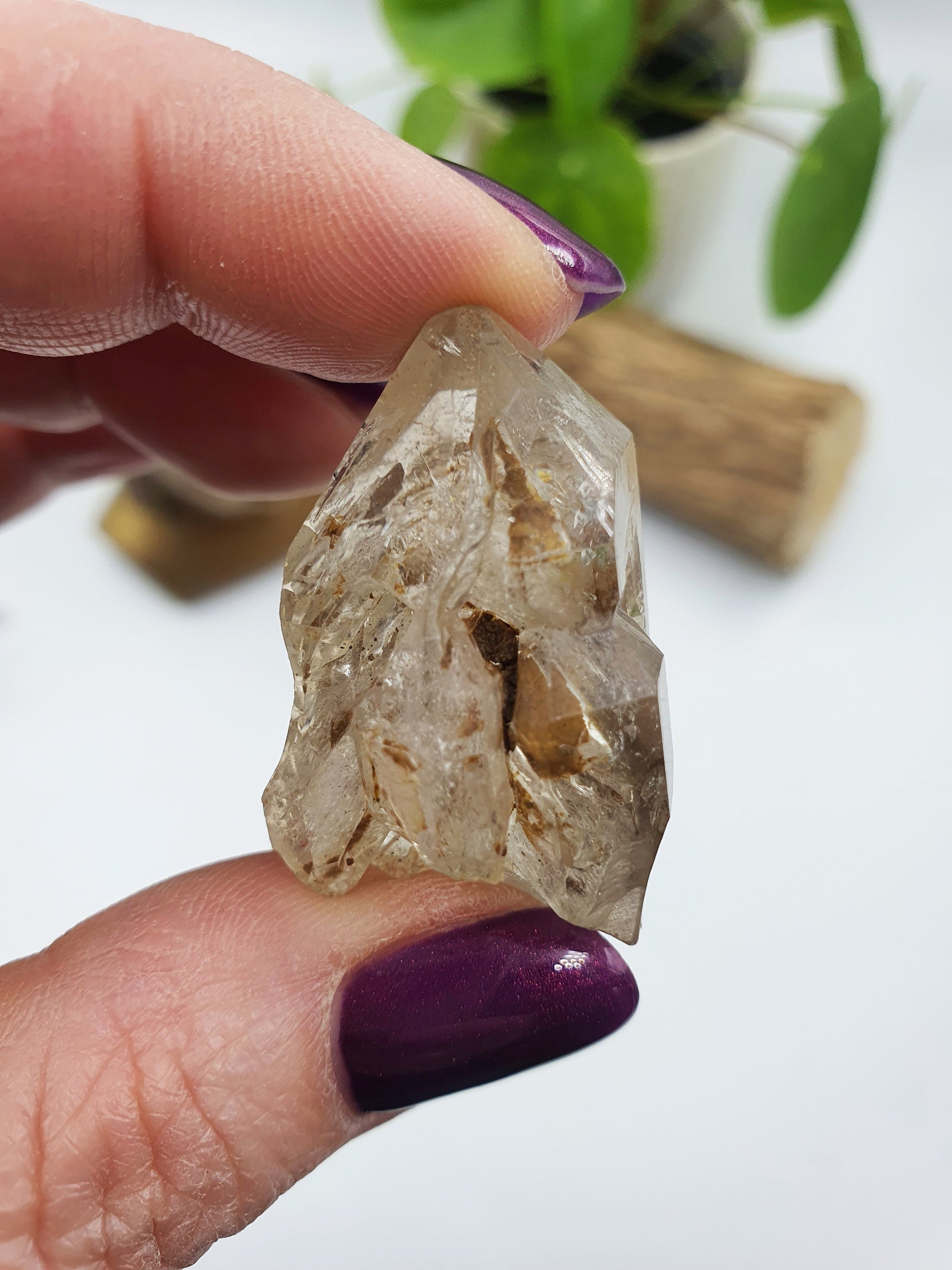 Elestial Enhydro Quartz