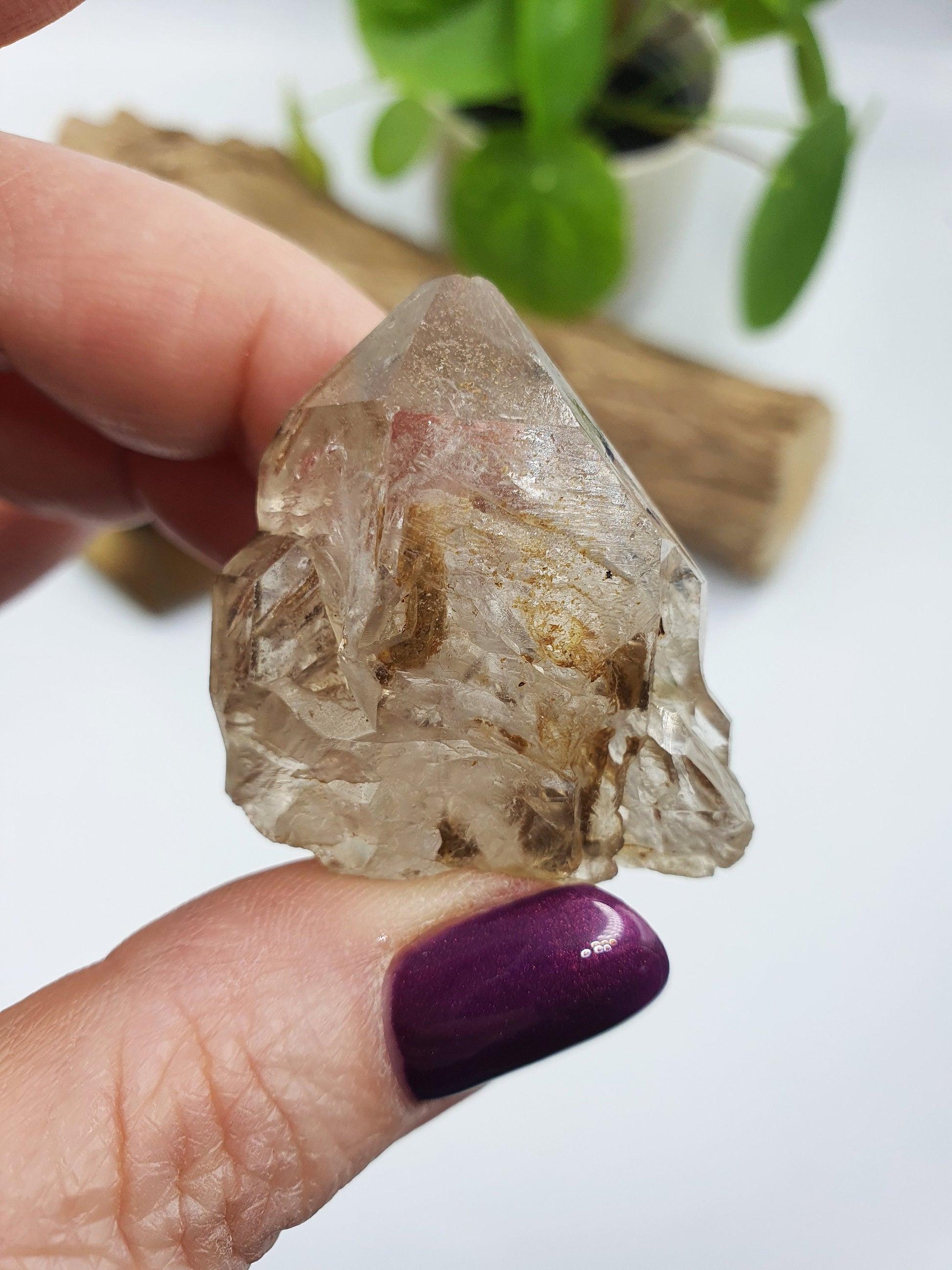 Elestial Enhydro Quartz