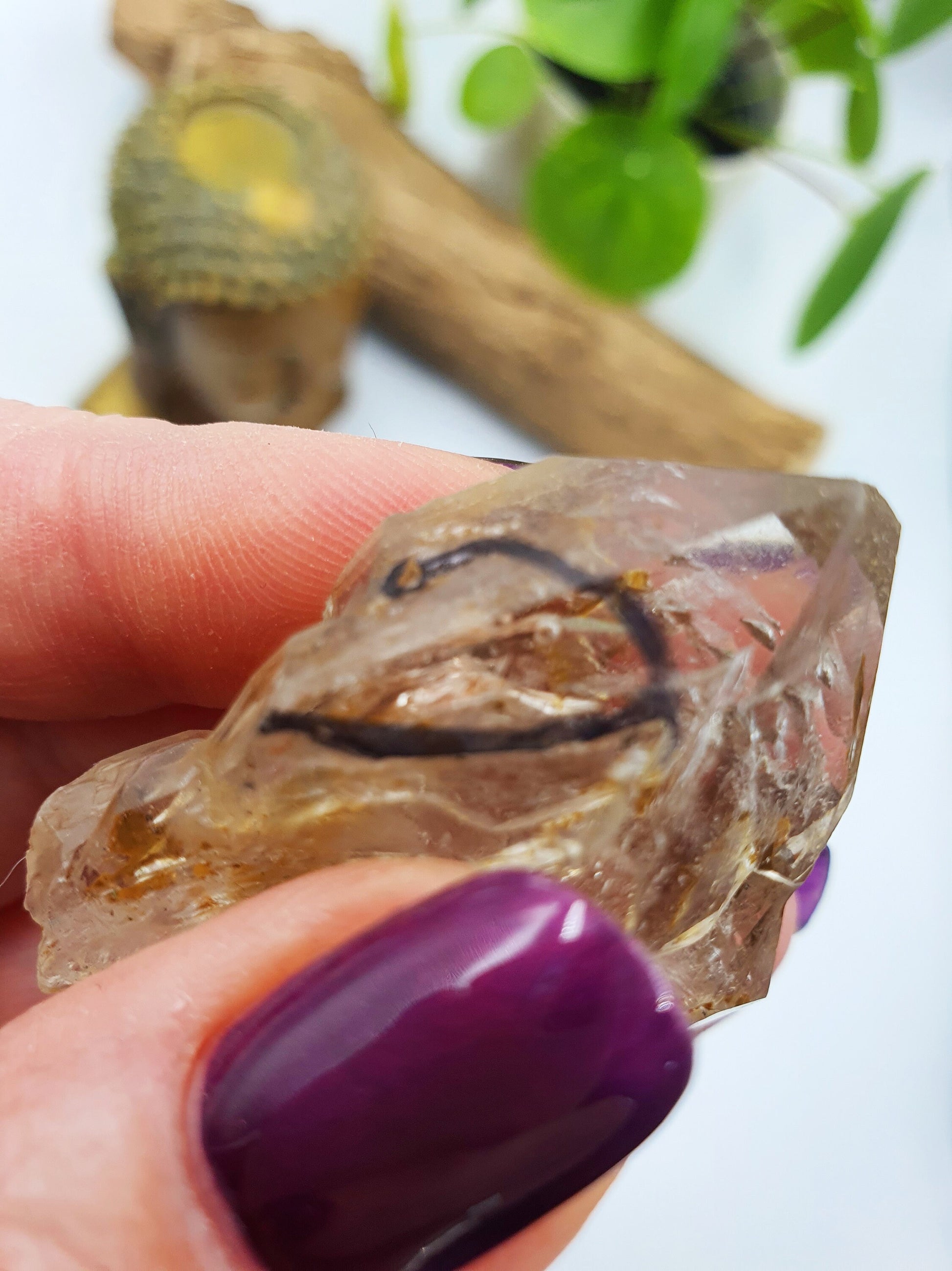 Elestial Enhydro Quartz