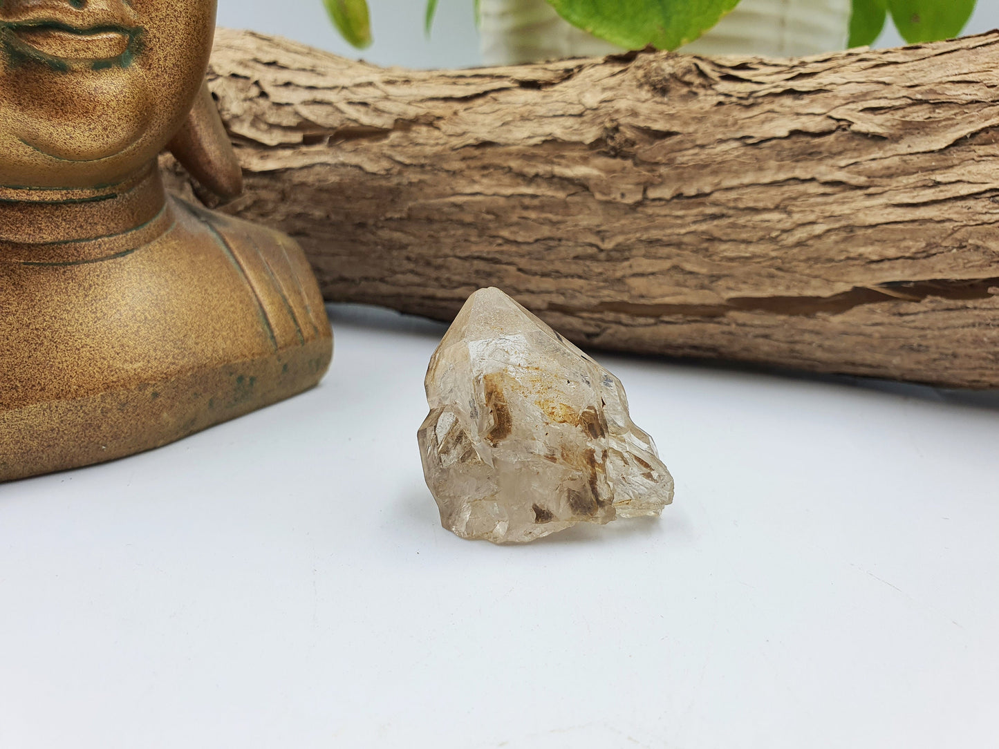 Elestial Enhydro Quartz