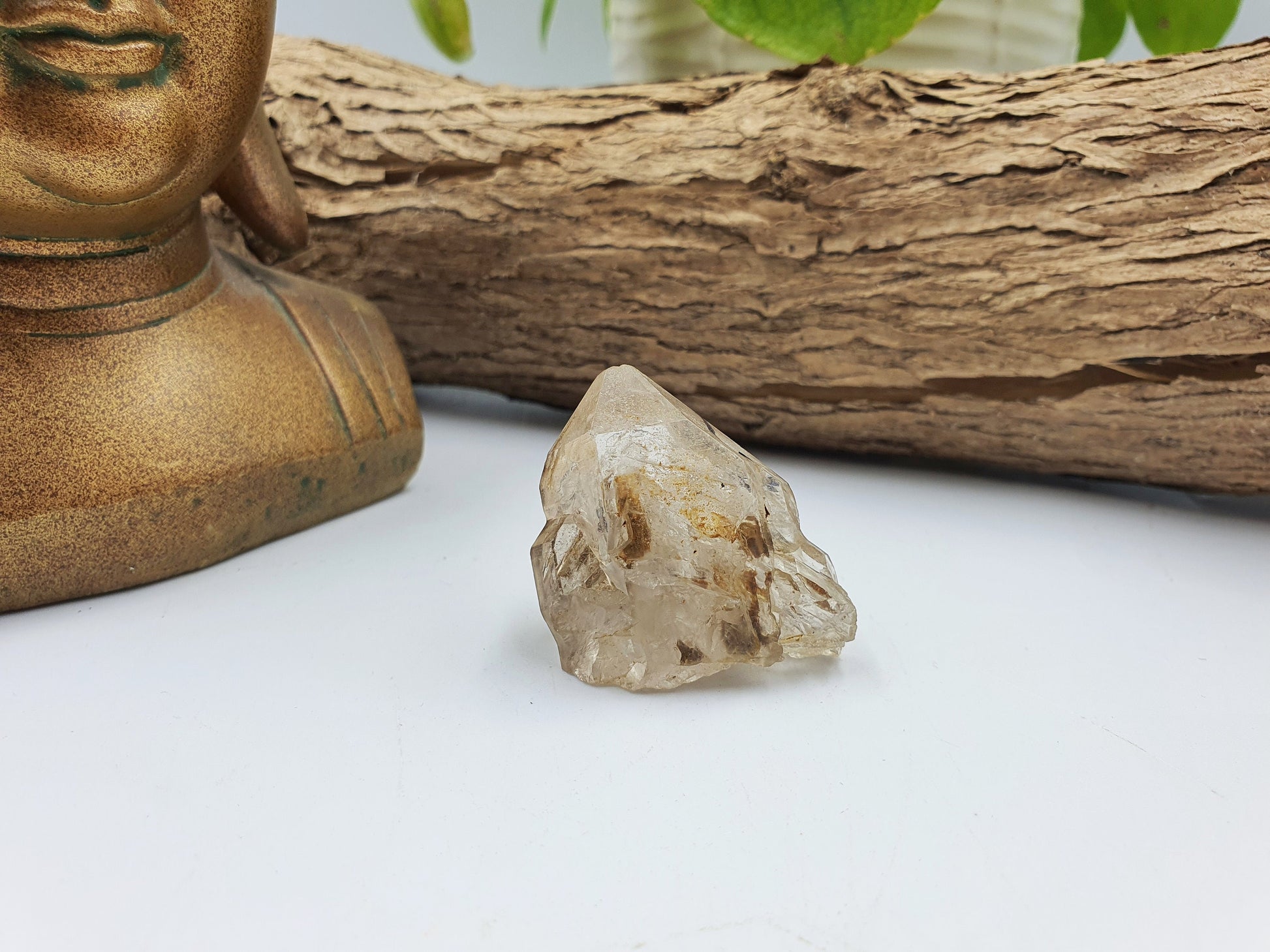 Elestial Enhydro Quartz