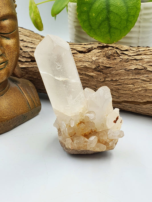 Clear Quartz Cluster