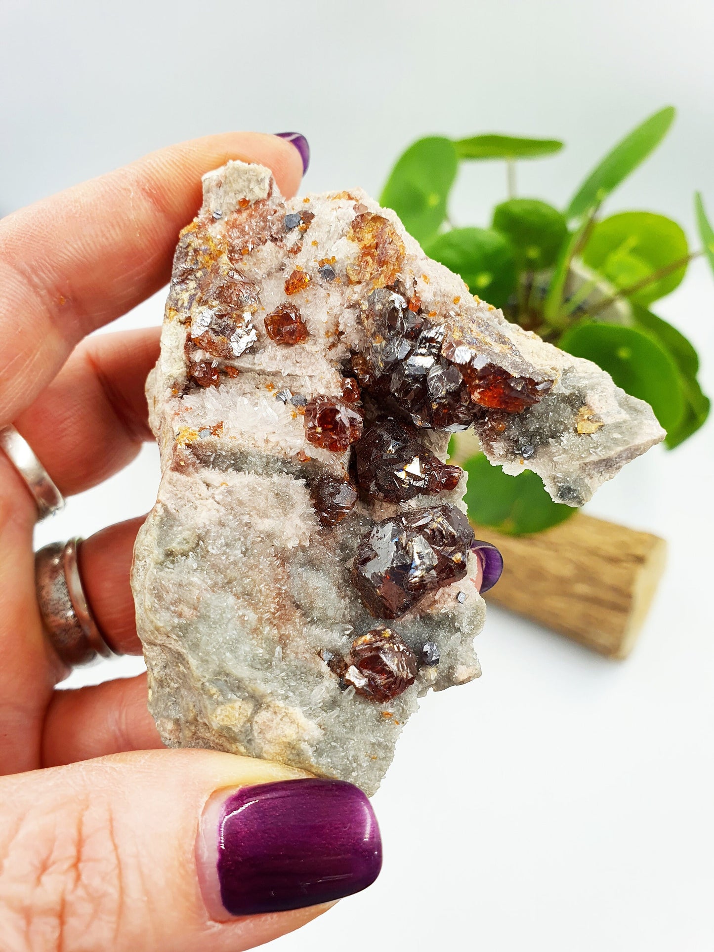 Garnet and Sphalerite Specimen
