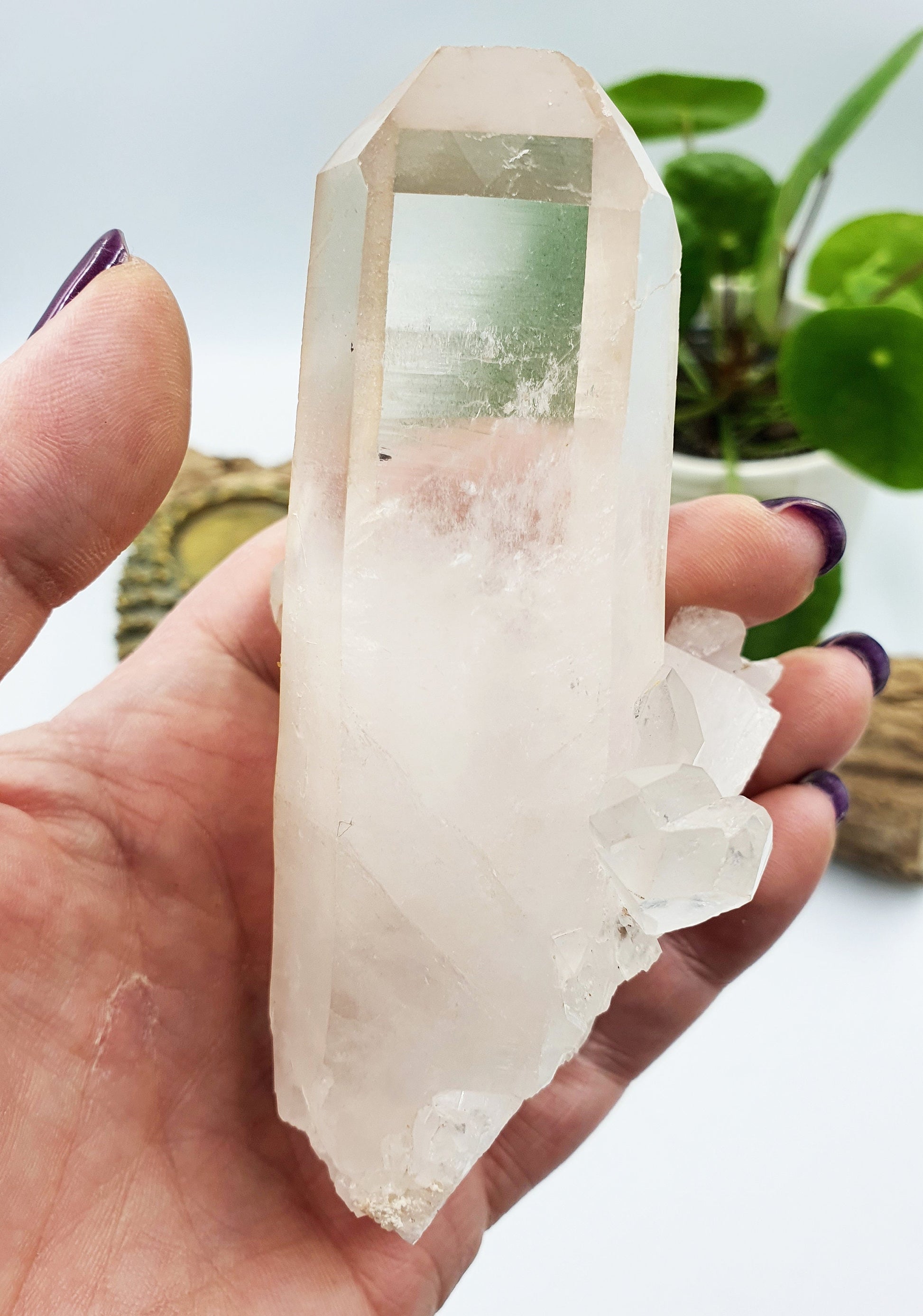 Clear Quartz Cluster