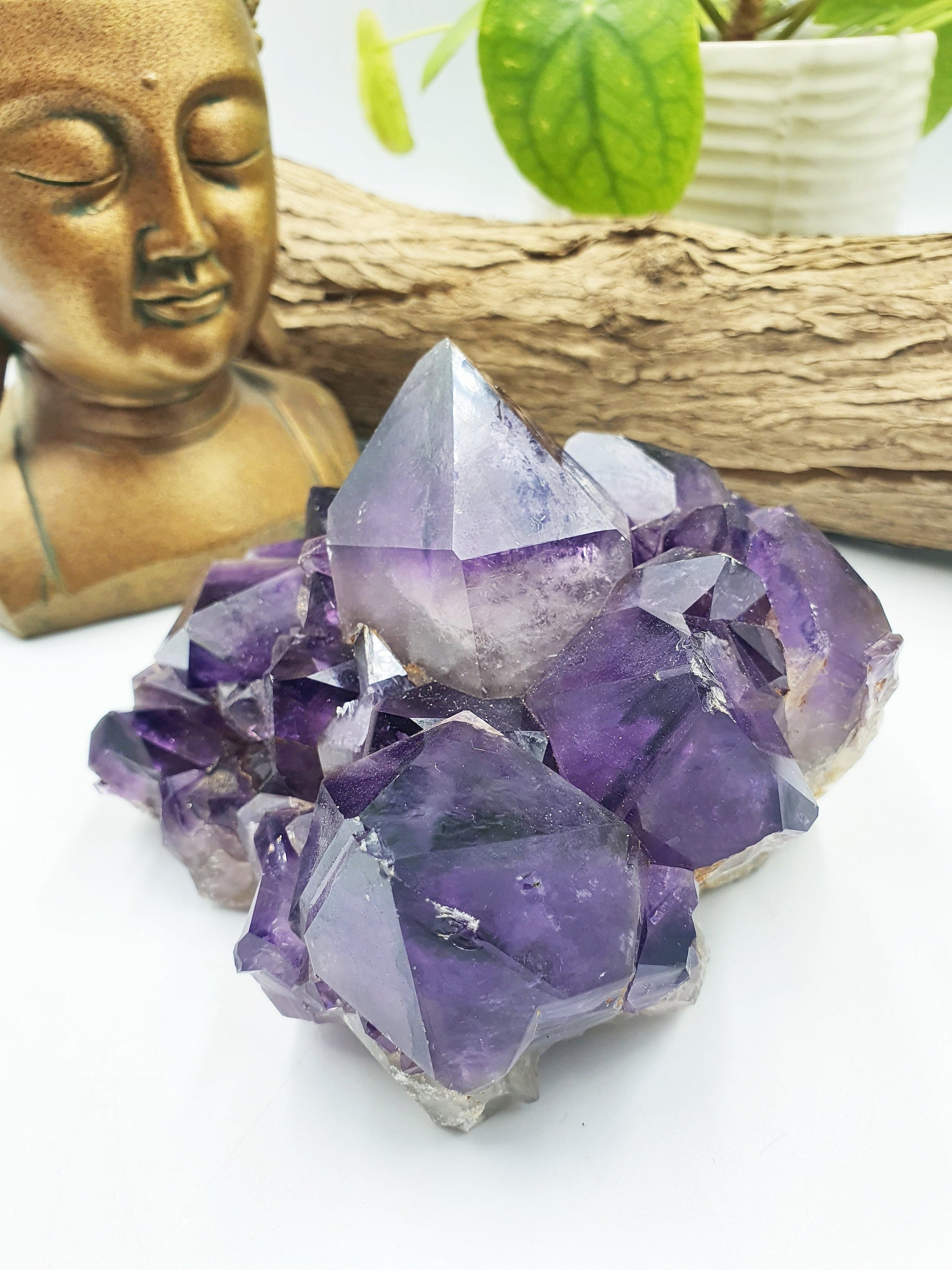 Amethyst Raw Polished Point