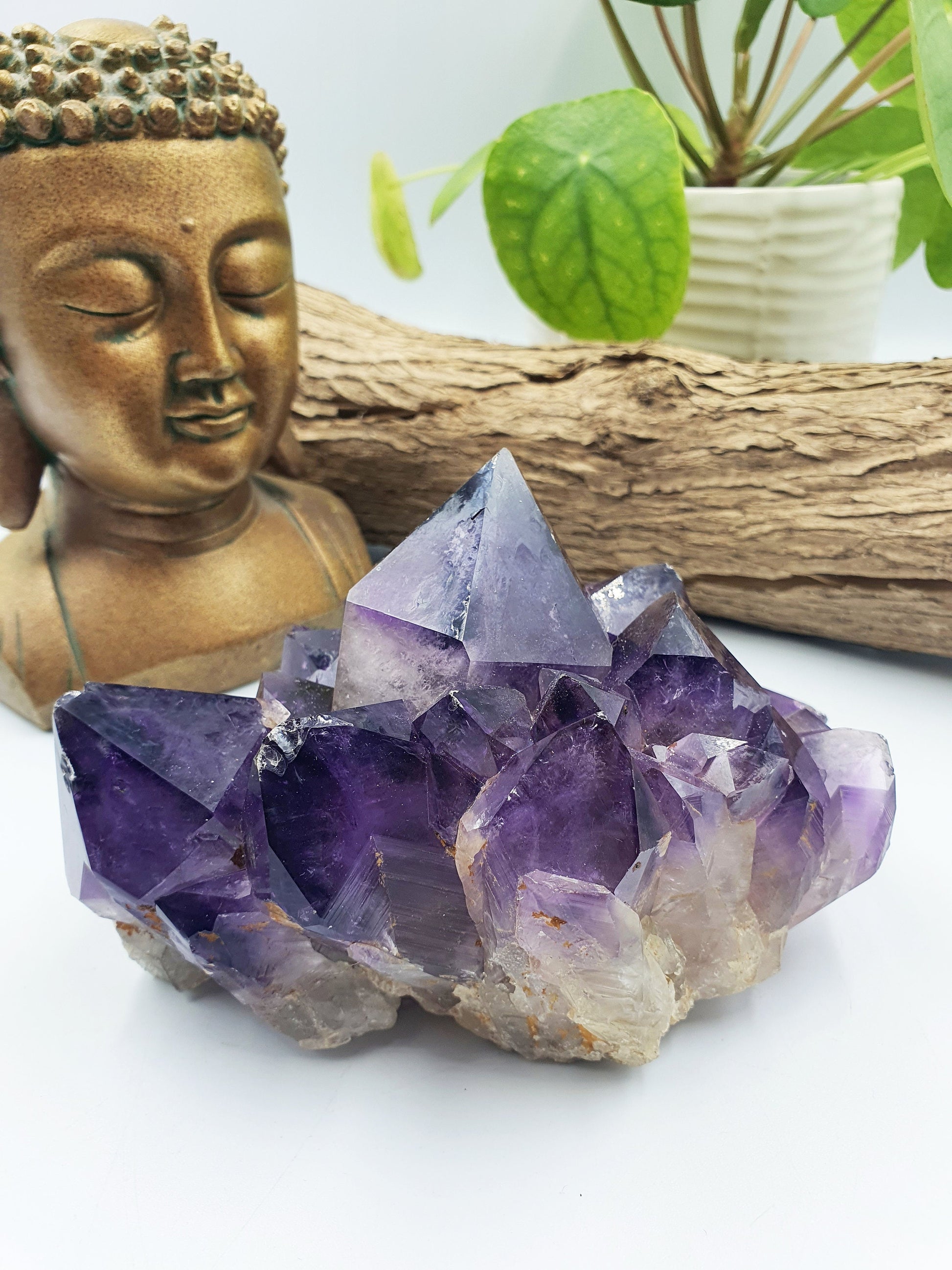 Amethyst Raw Polished Point