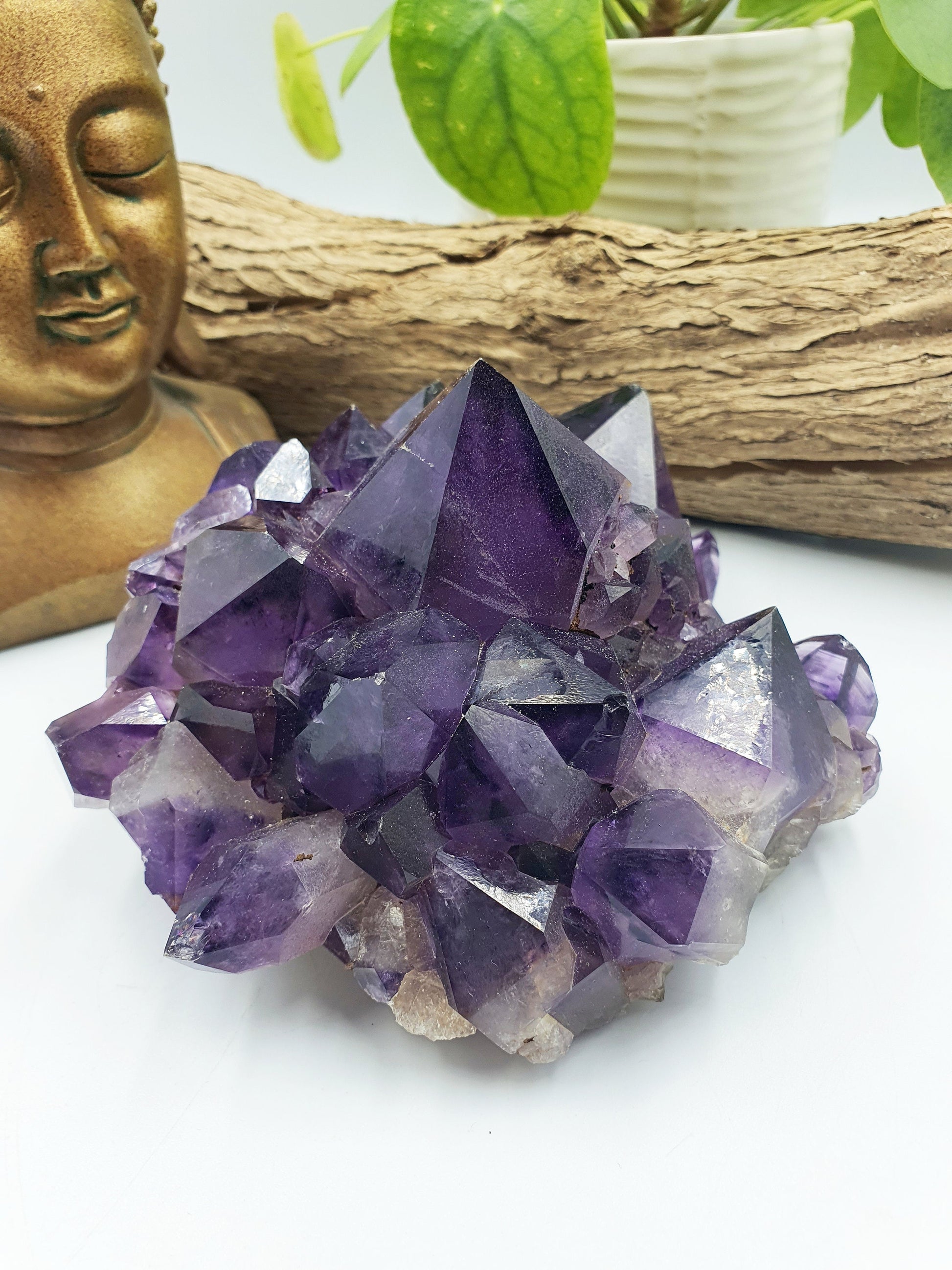 Amethyst Raw Polished Point