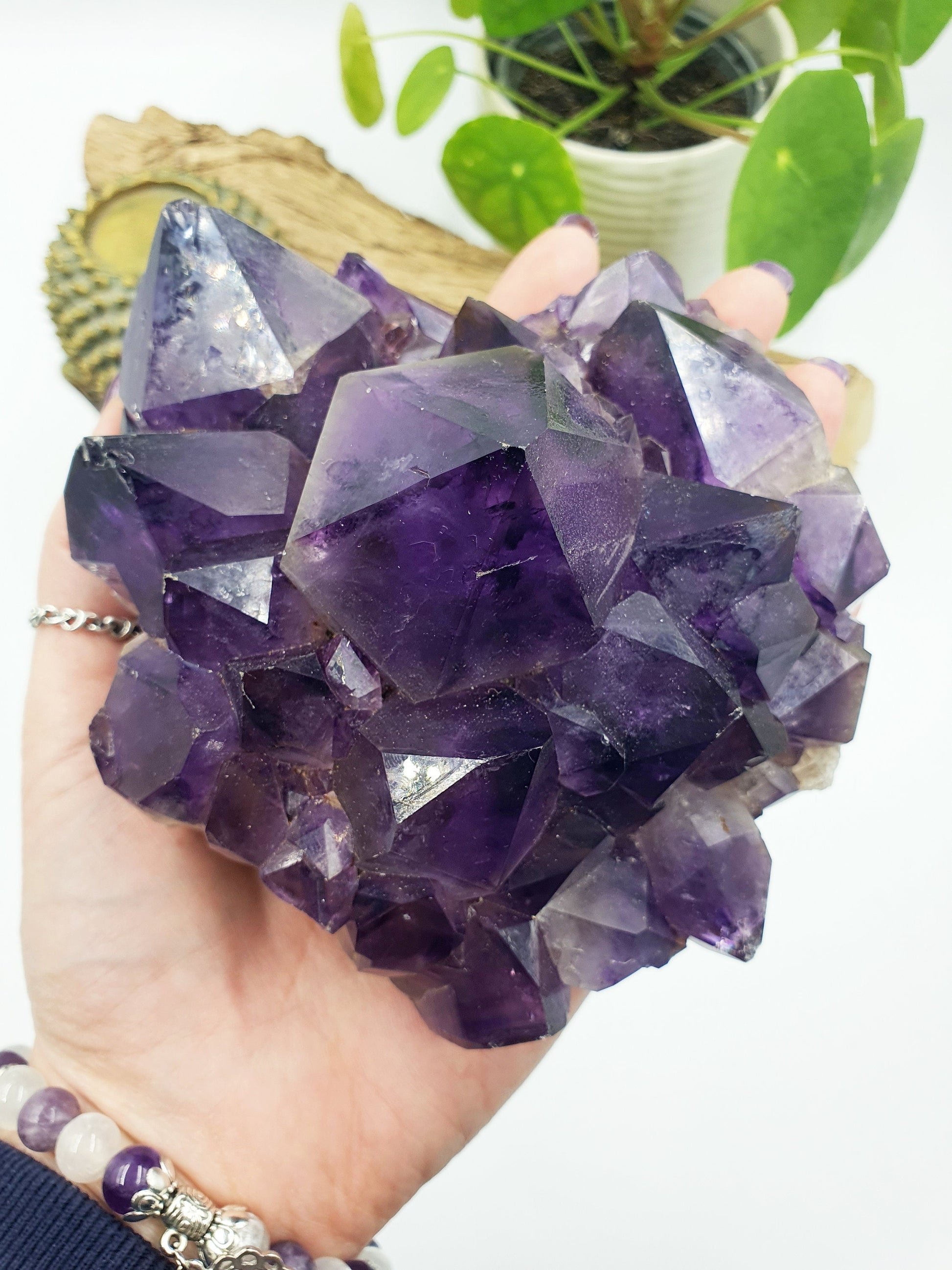 Amethyst Raw Polished Point
