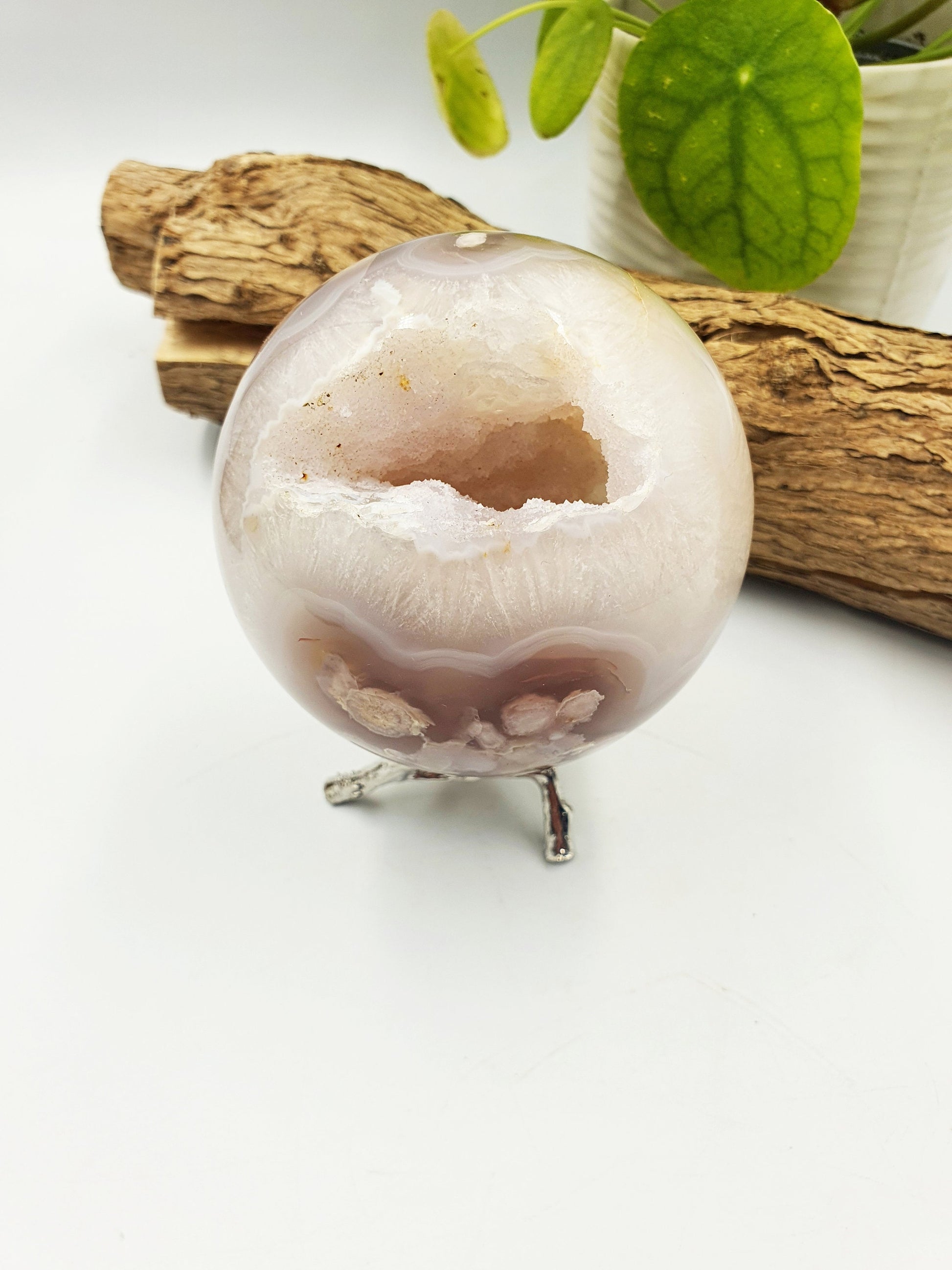 Large Flower Blossom (Sakura) Sphere