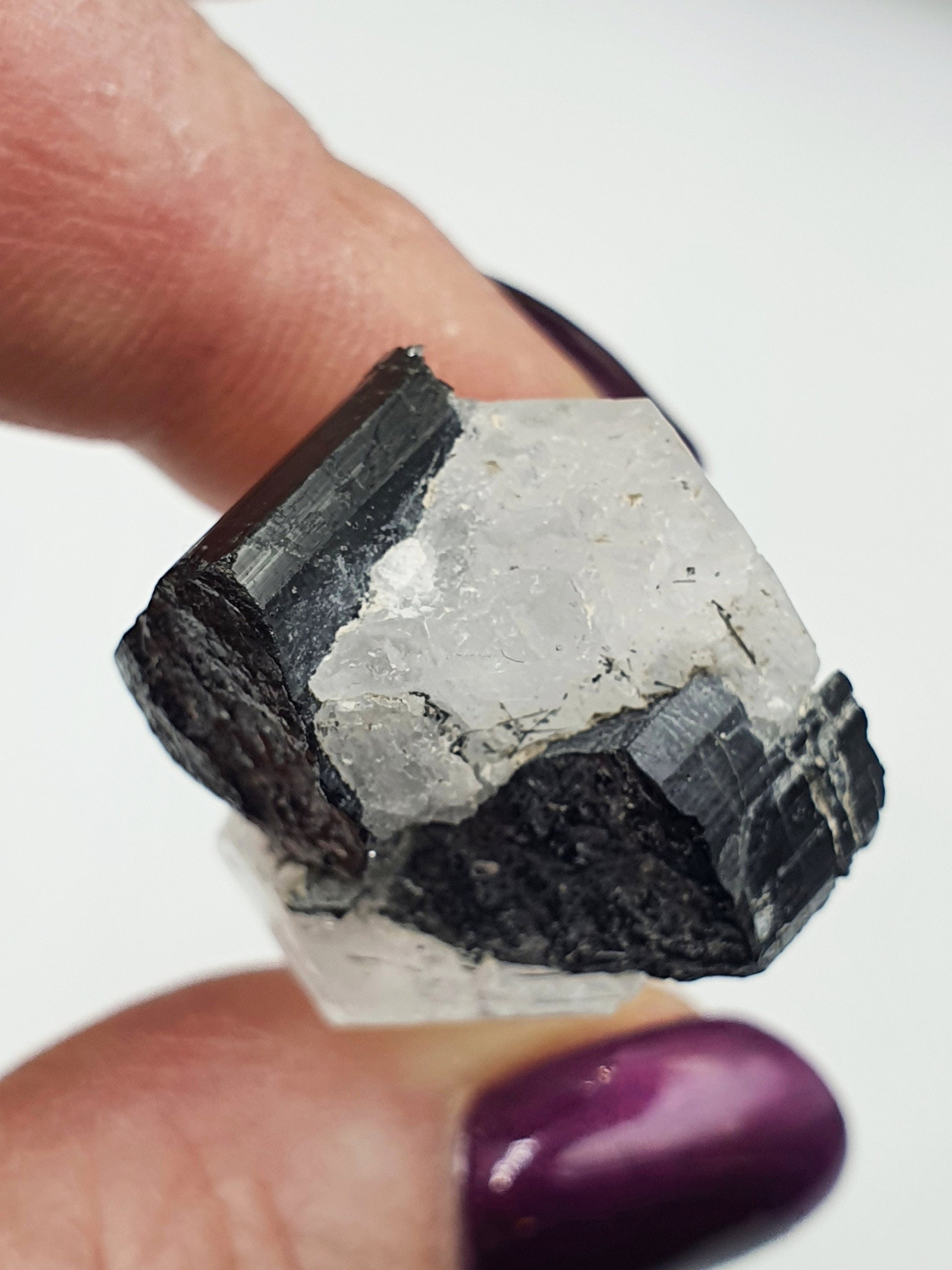 Clear Himalayan Quartz with Tourmaline Specimen