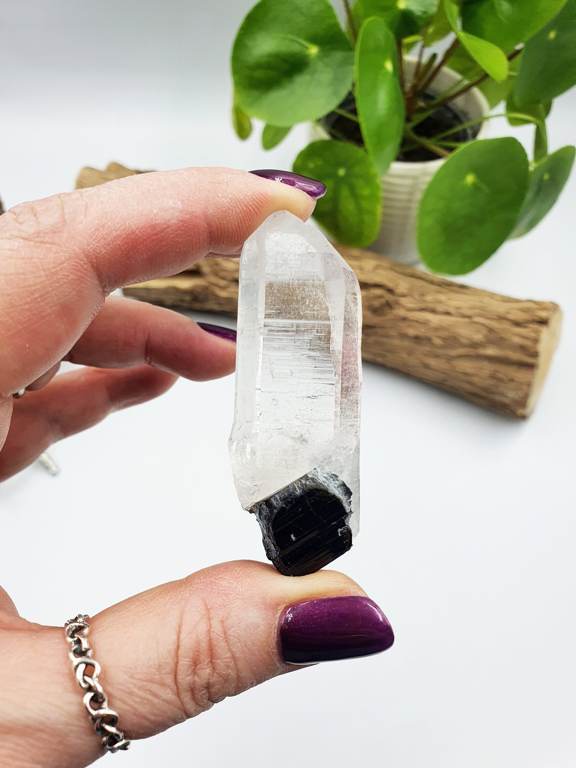 Himalayan Quartz with Tourmaline