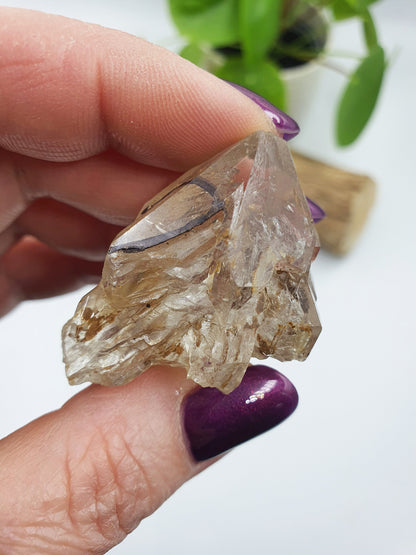 Elestial Enhydro Quartz