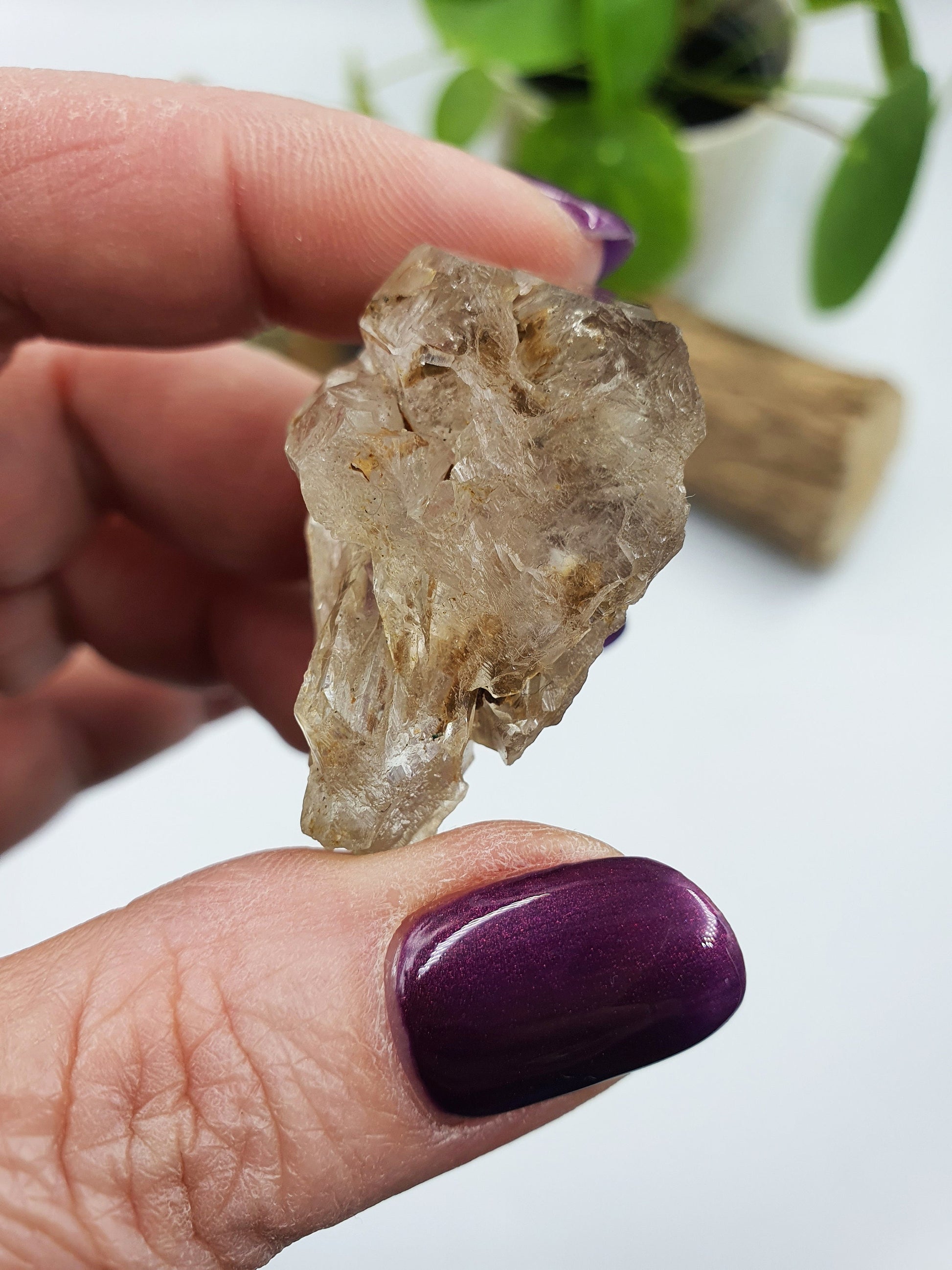 Elestial Enhydro Quartz