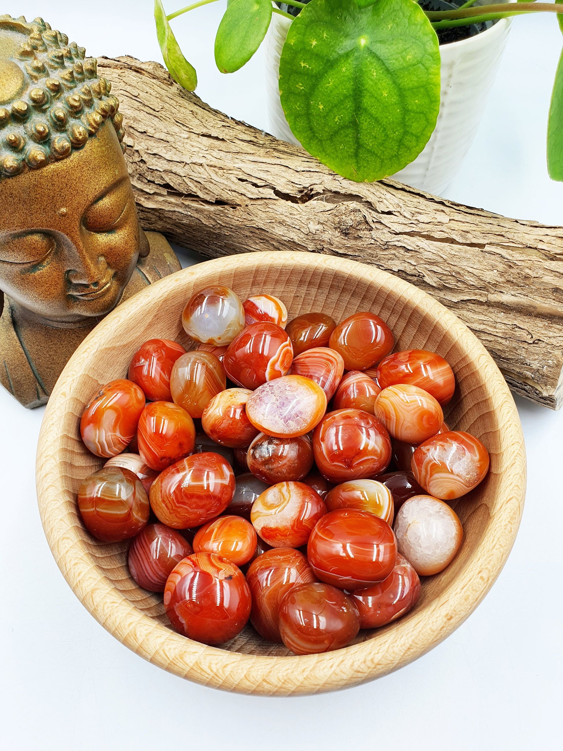 Carnelian Tumbles