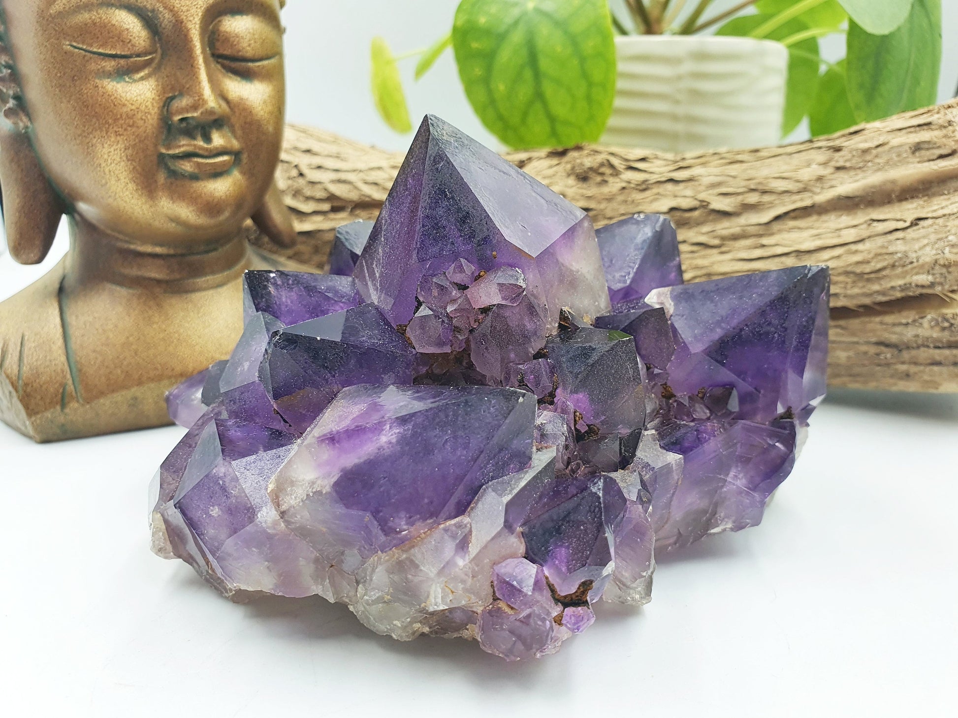 Amethyst Raw Polished Point