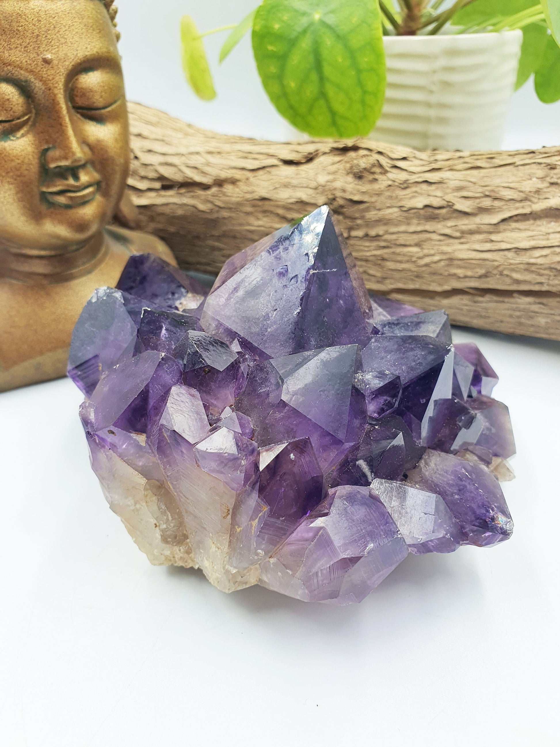 Amethyst Raw Polished Point