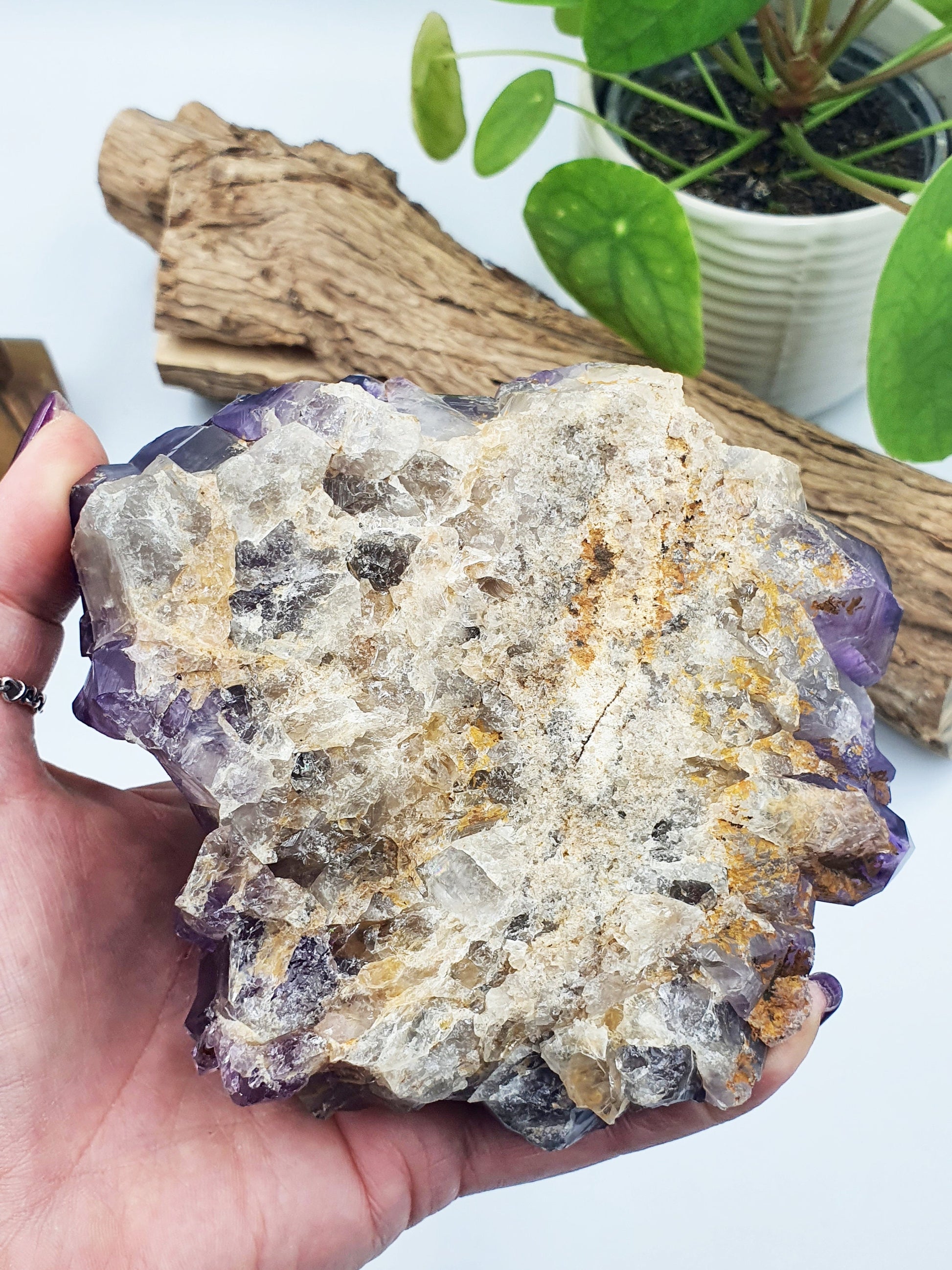 Amethyst Raw Polished Point