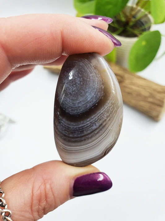 Botswana Agate Palm Stone