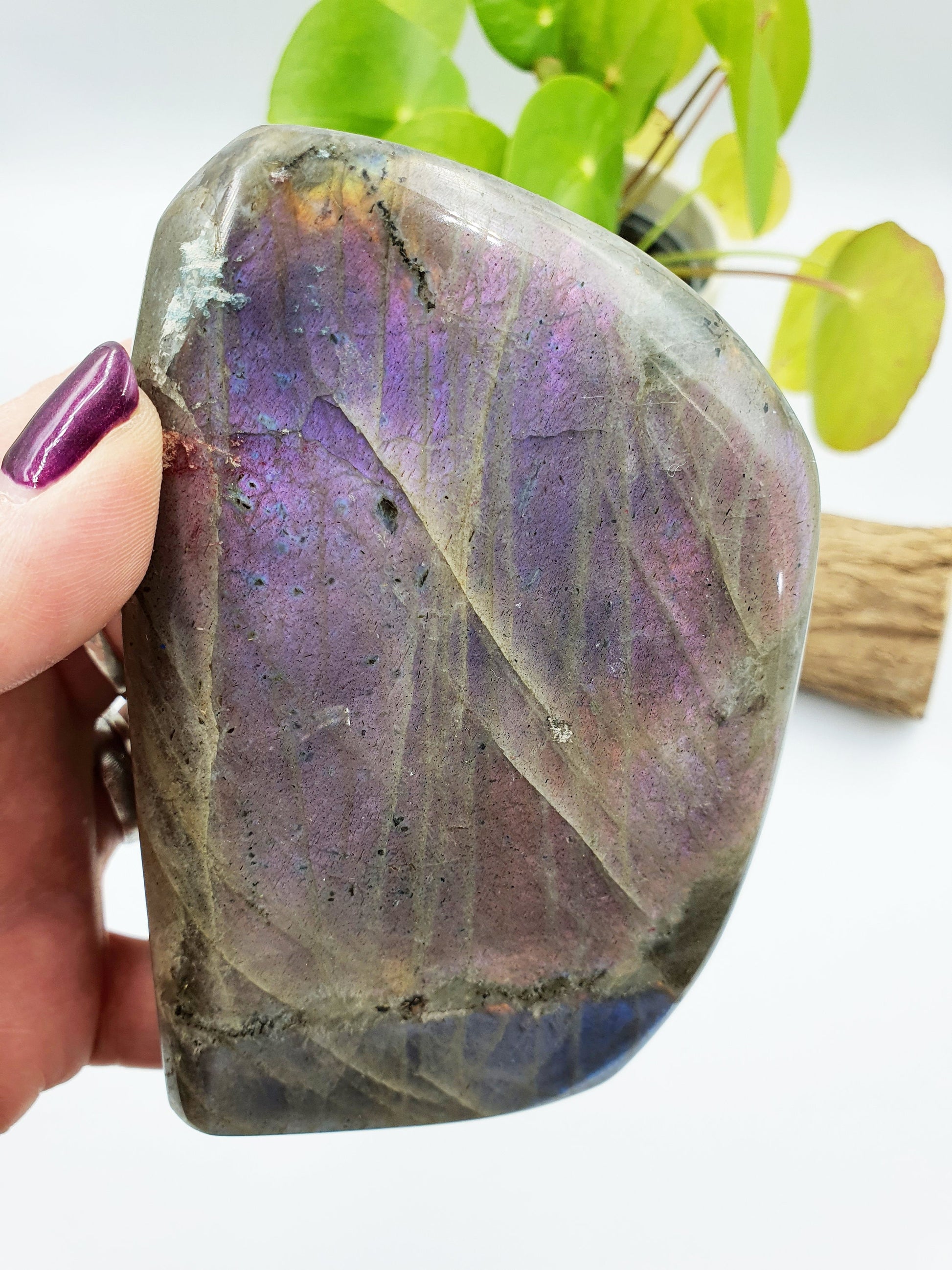Pink and Purple Labradorite Freeform