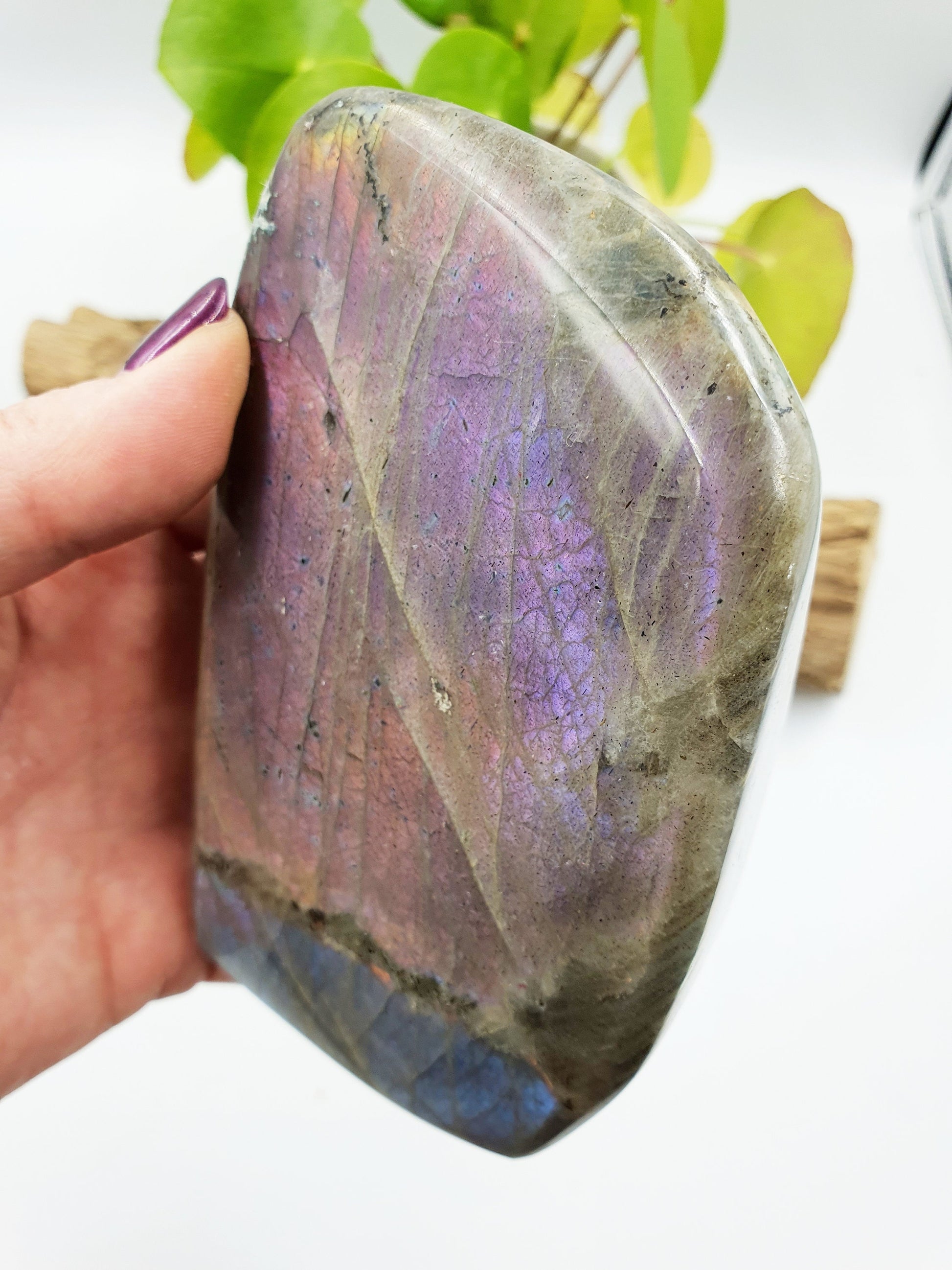 Pink and Purple Labradorite Freeform