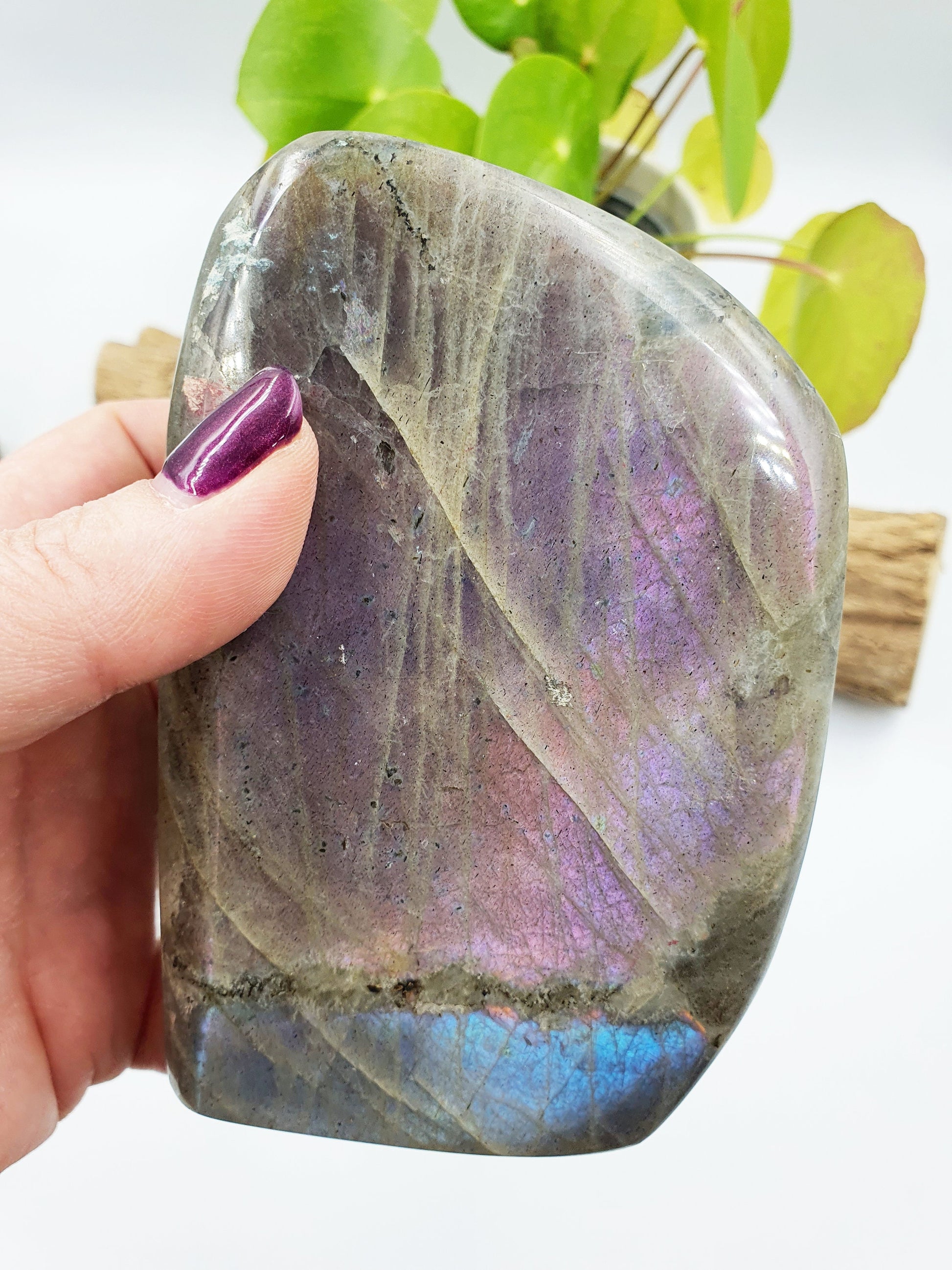 Pink and Purple Labradorite Freeform