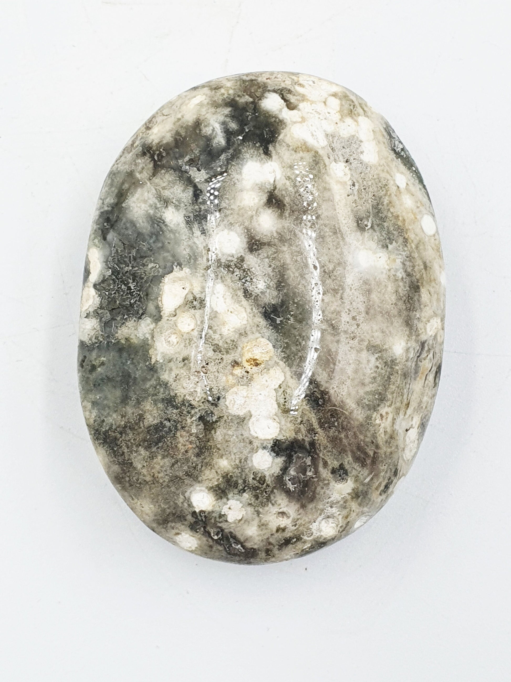 Large Ocean Jasper Palm