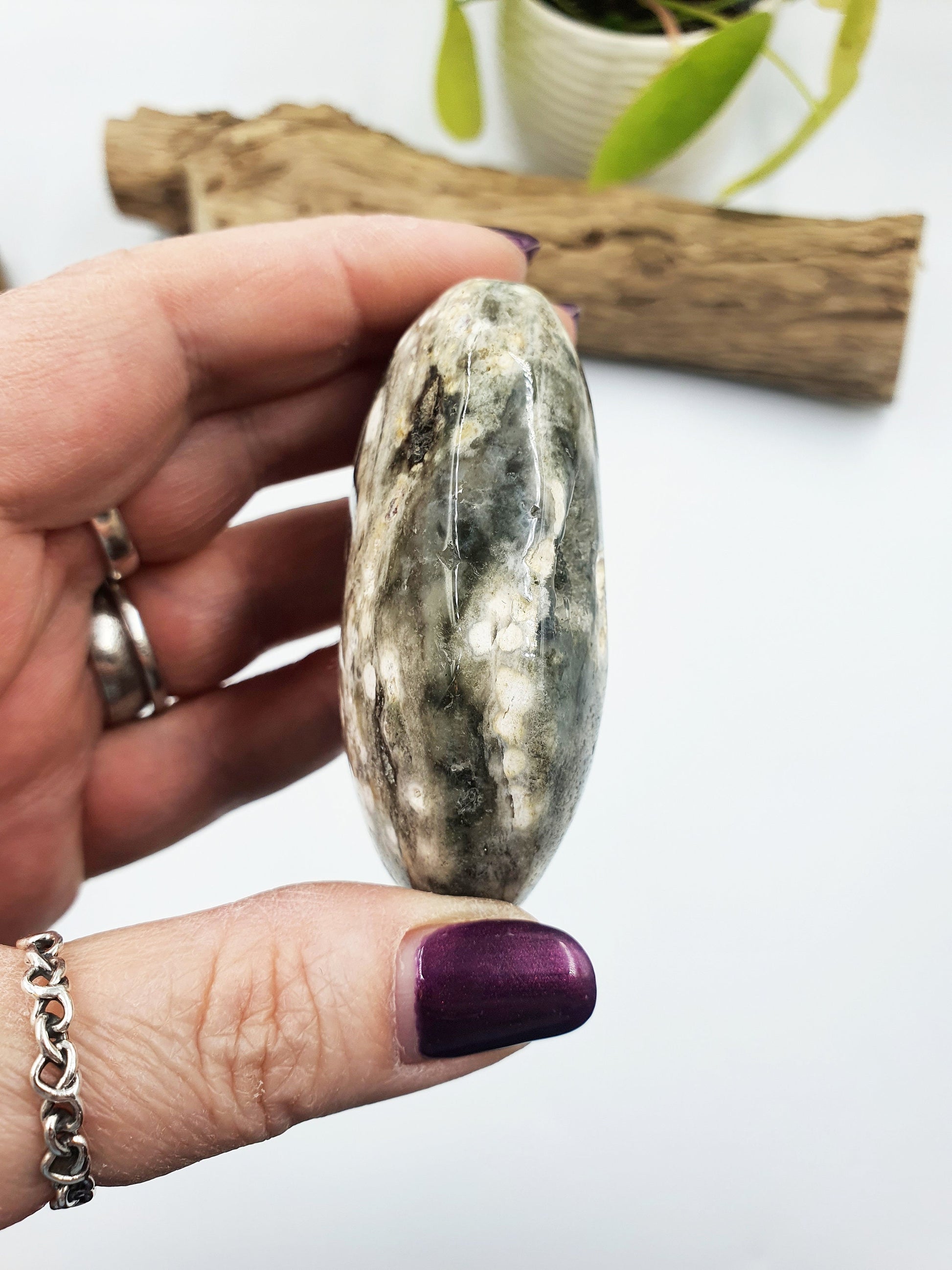 Large Ocean Jasper Palm