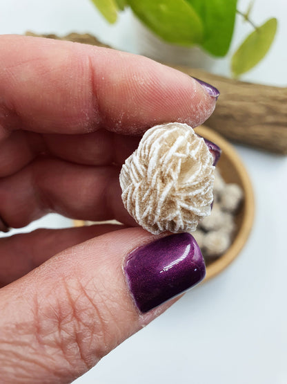 6 x Desert Rose Specimen