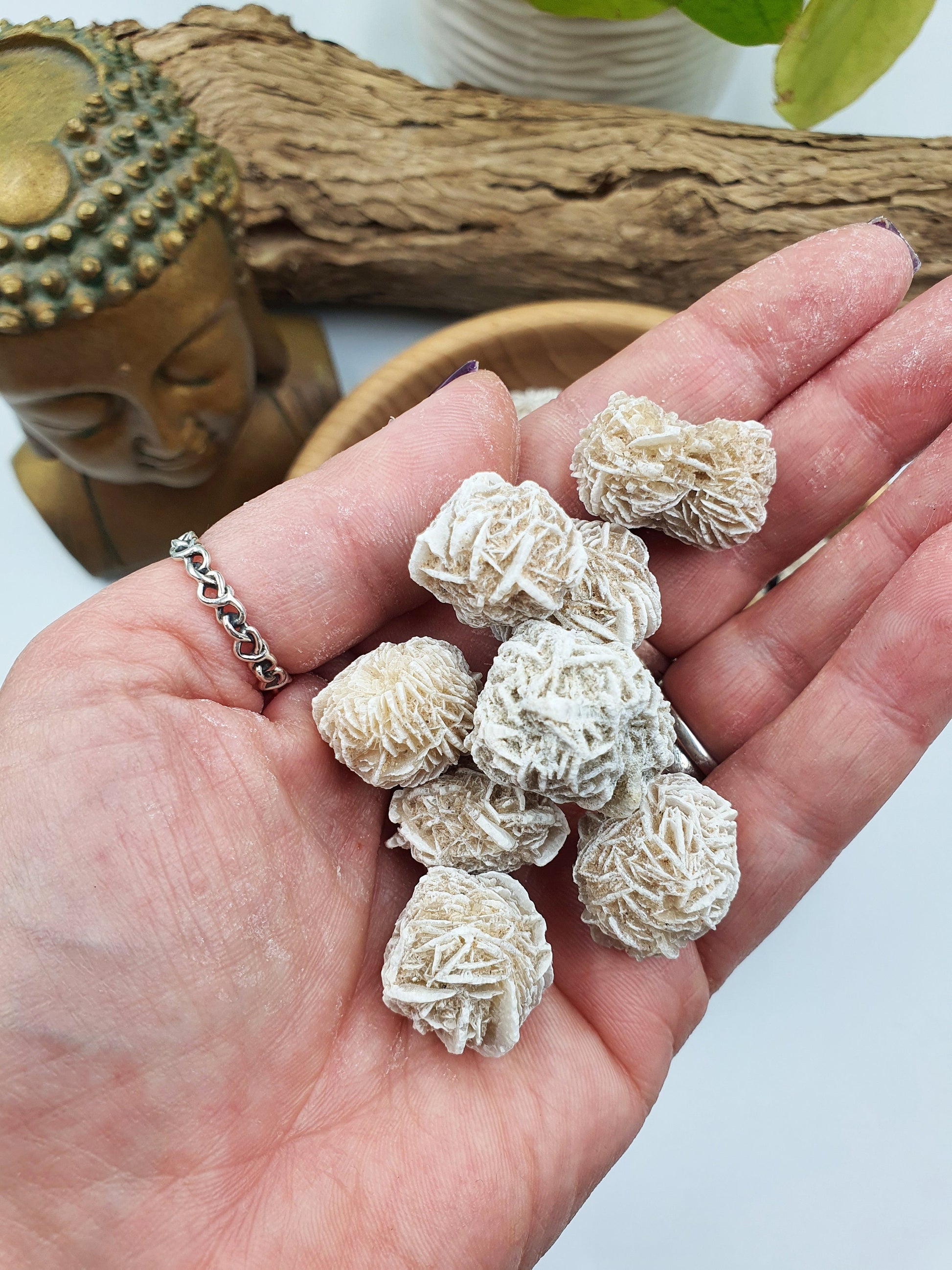6 x Desert Rose Specimen