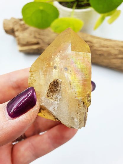 Rare Natural Rainbow Aura Yellow Himalayan Quartz Point