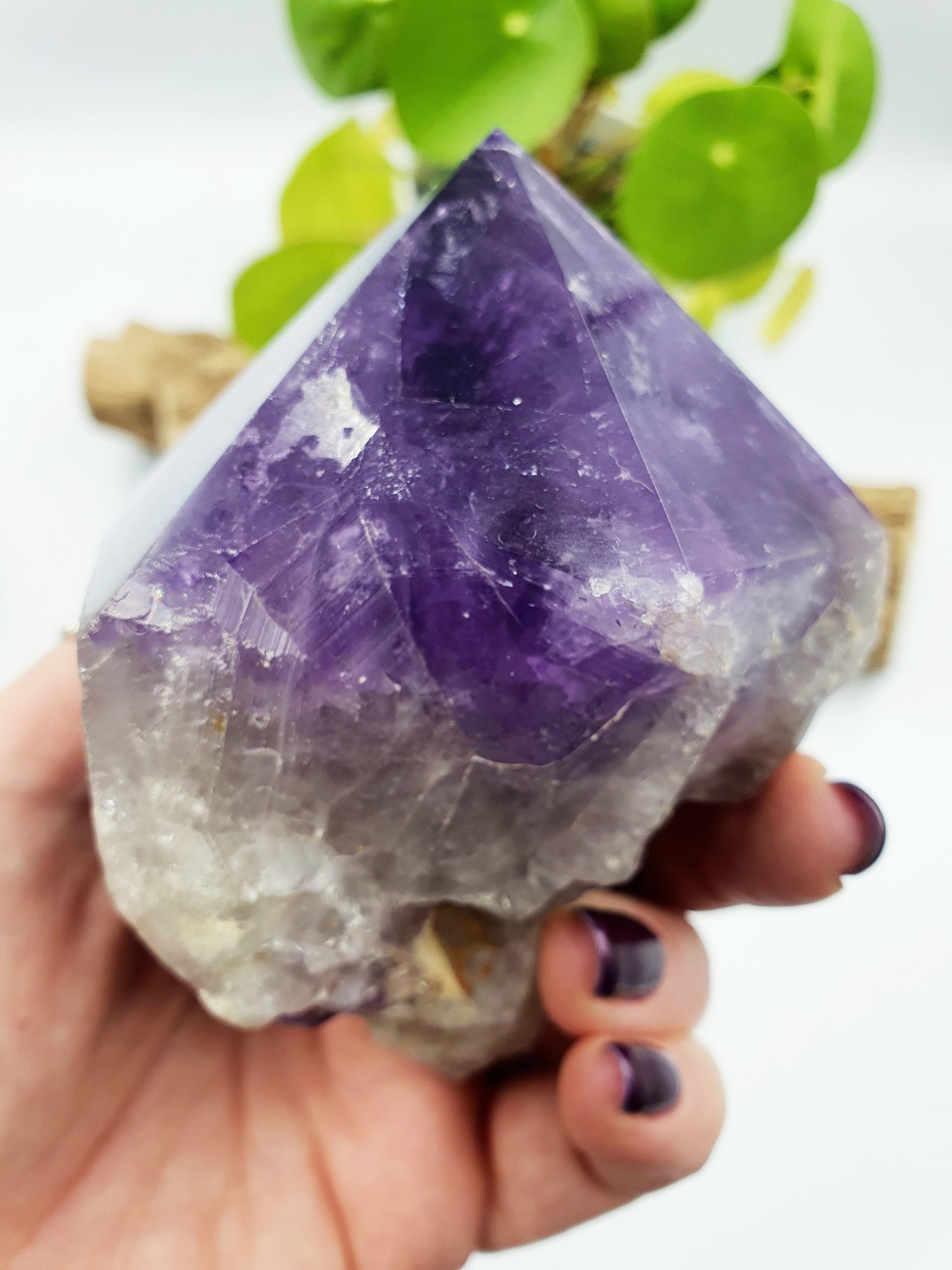 Amethyst Root Polished Point