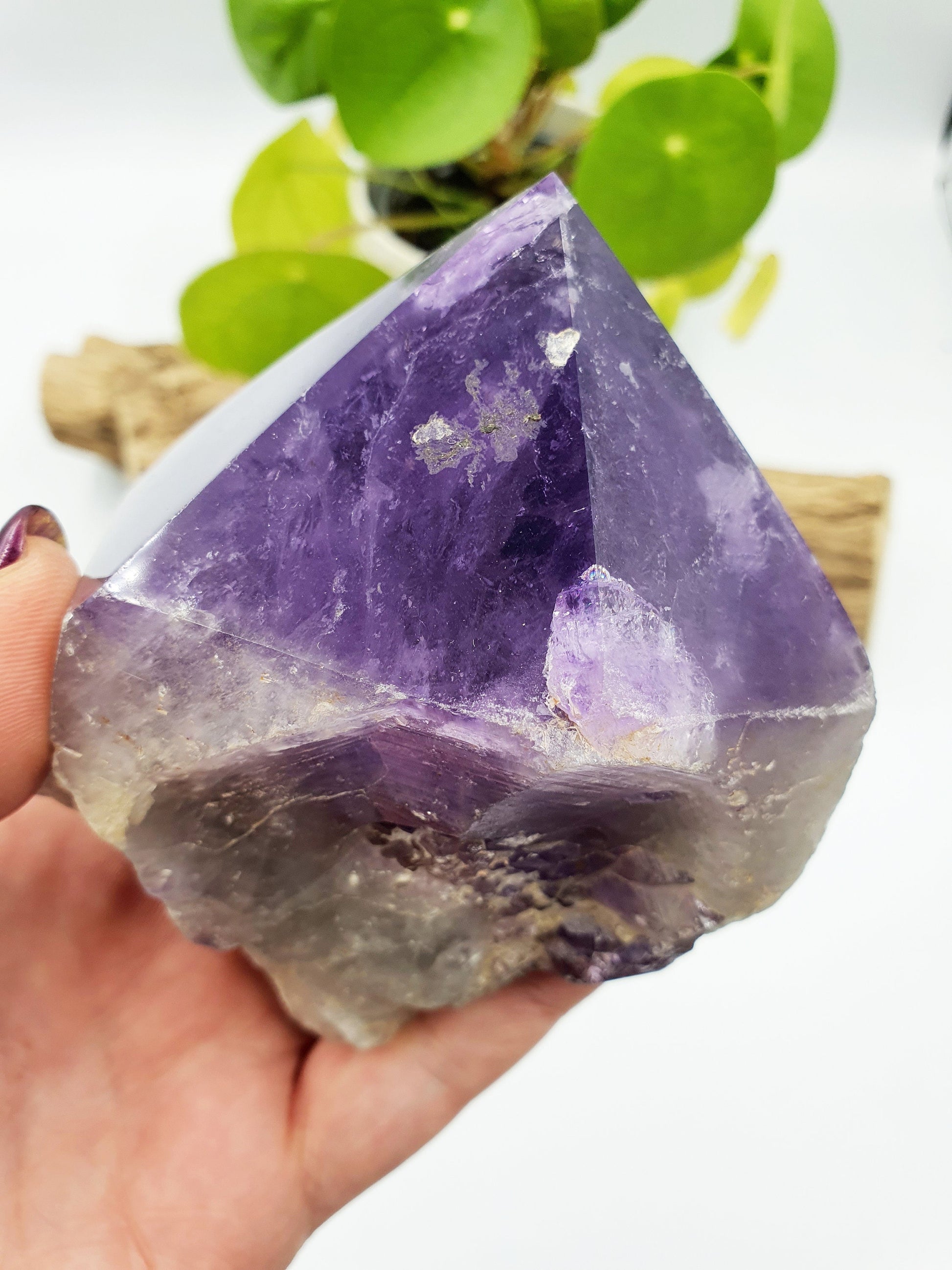 Amethyst Root Polished Point